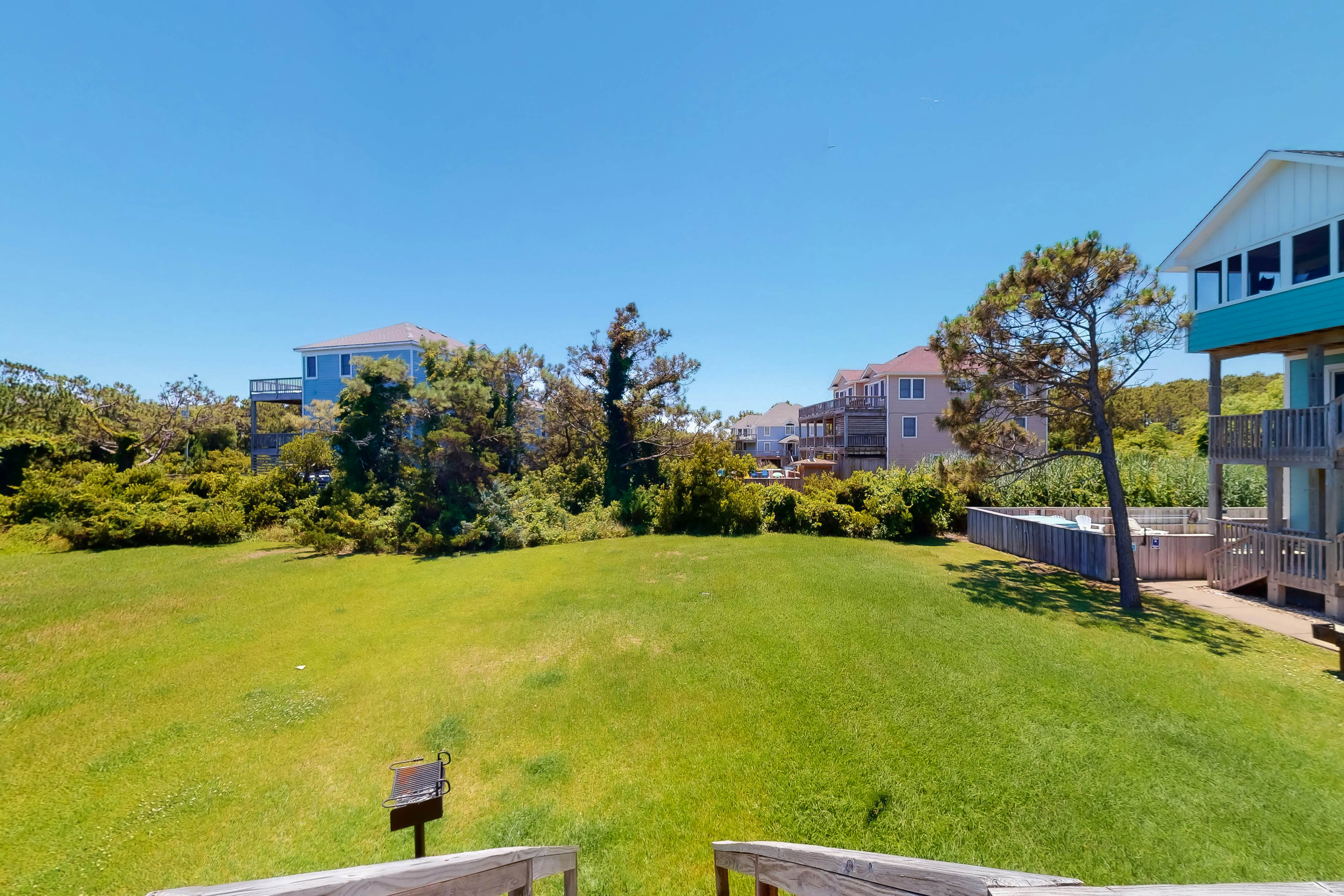 WVWSN23 44 Seashells