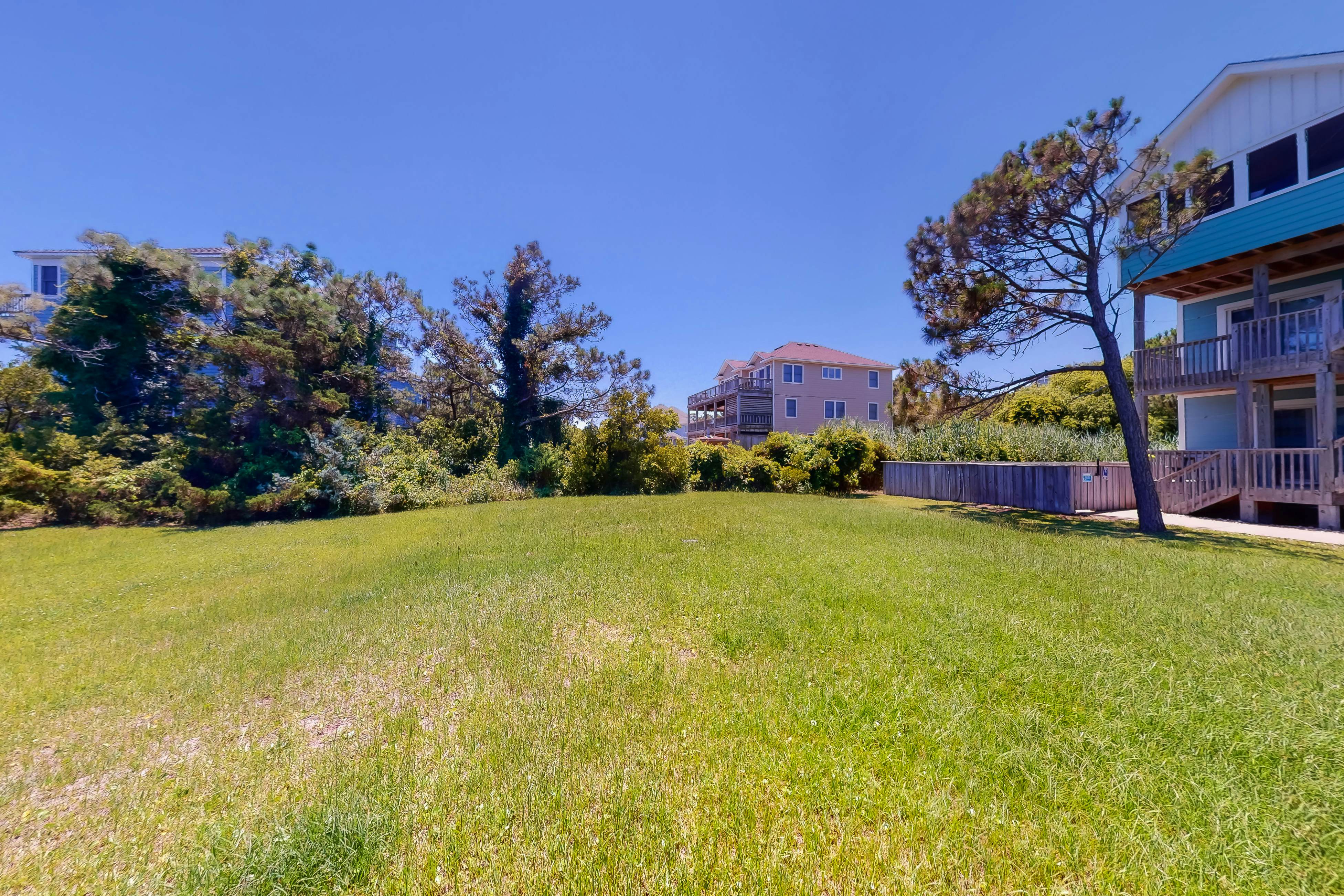 WVWSN23 44 Seashells