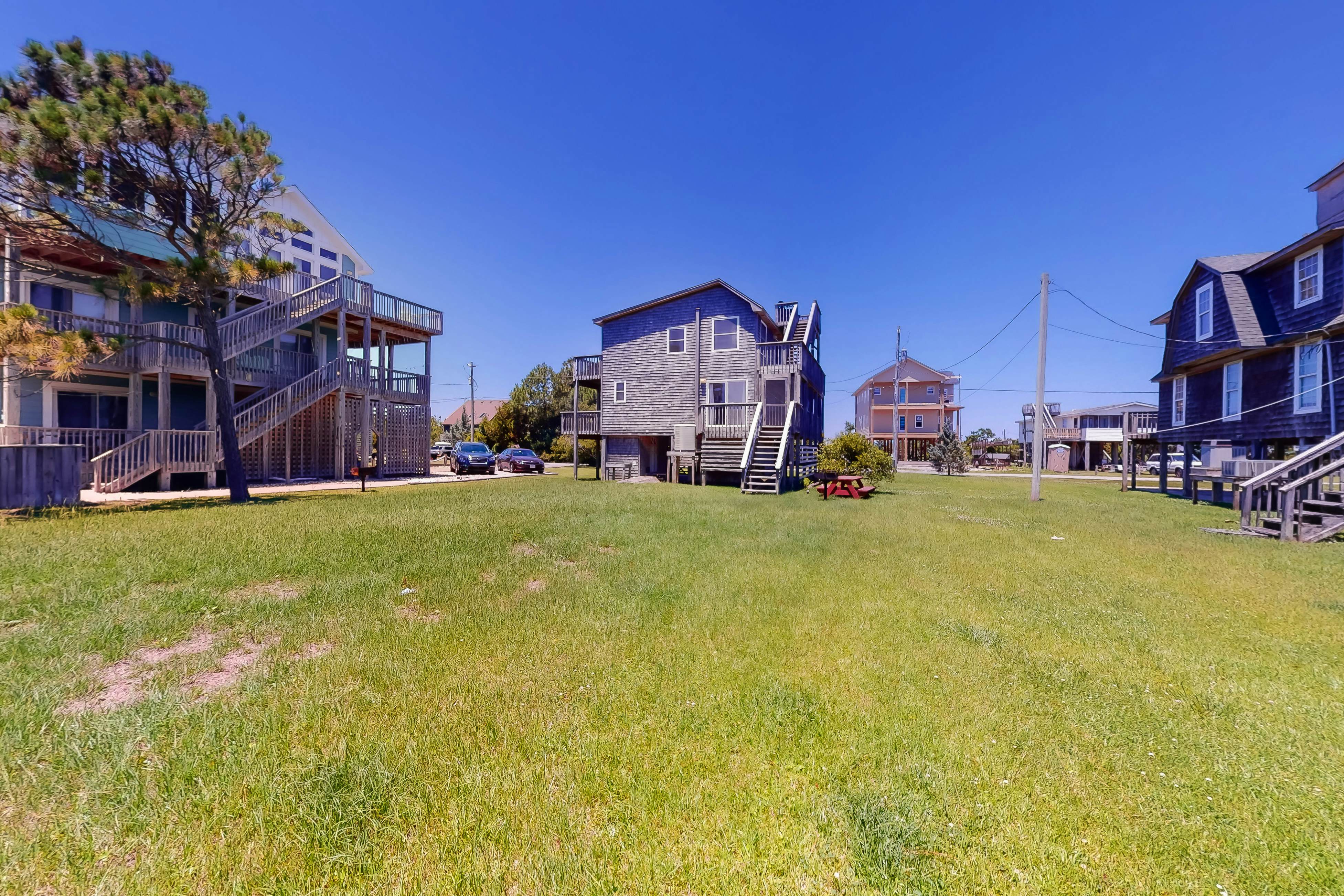 WVWSN23 44 Seashells