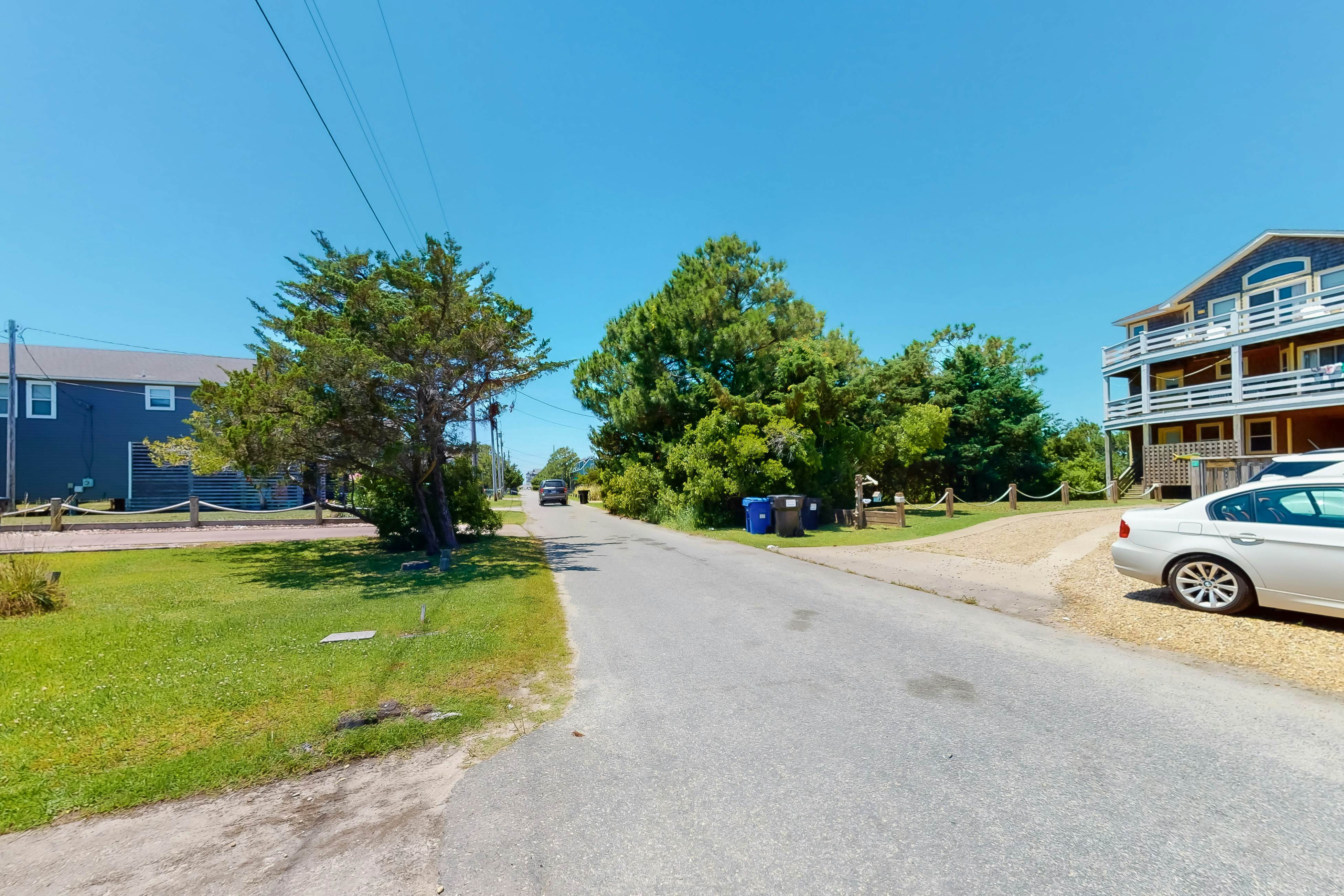 WVWSN23 44 Seashells