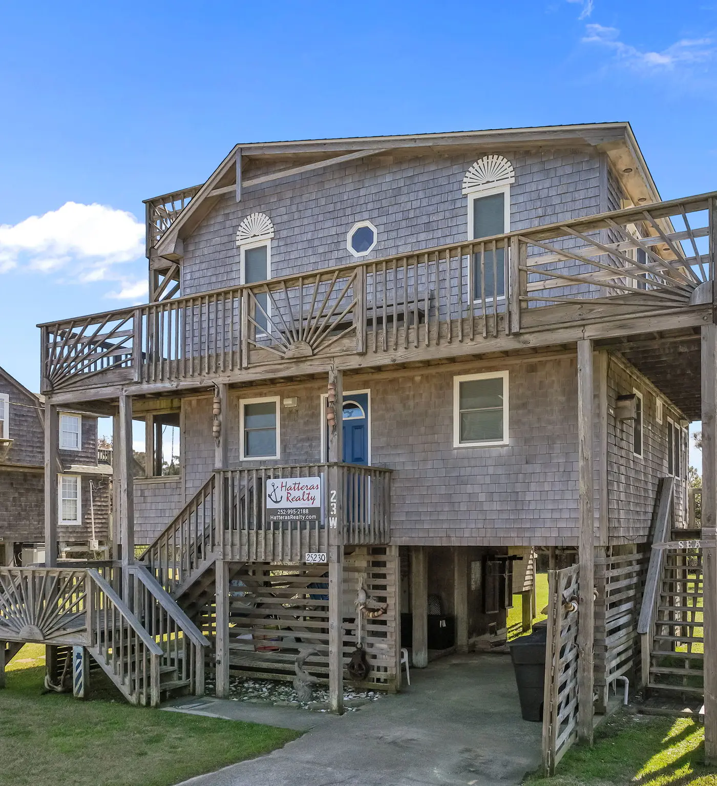 WVWSN23 44 Seashells