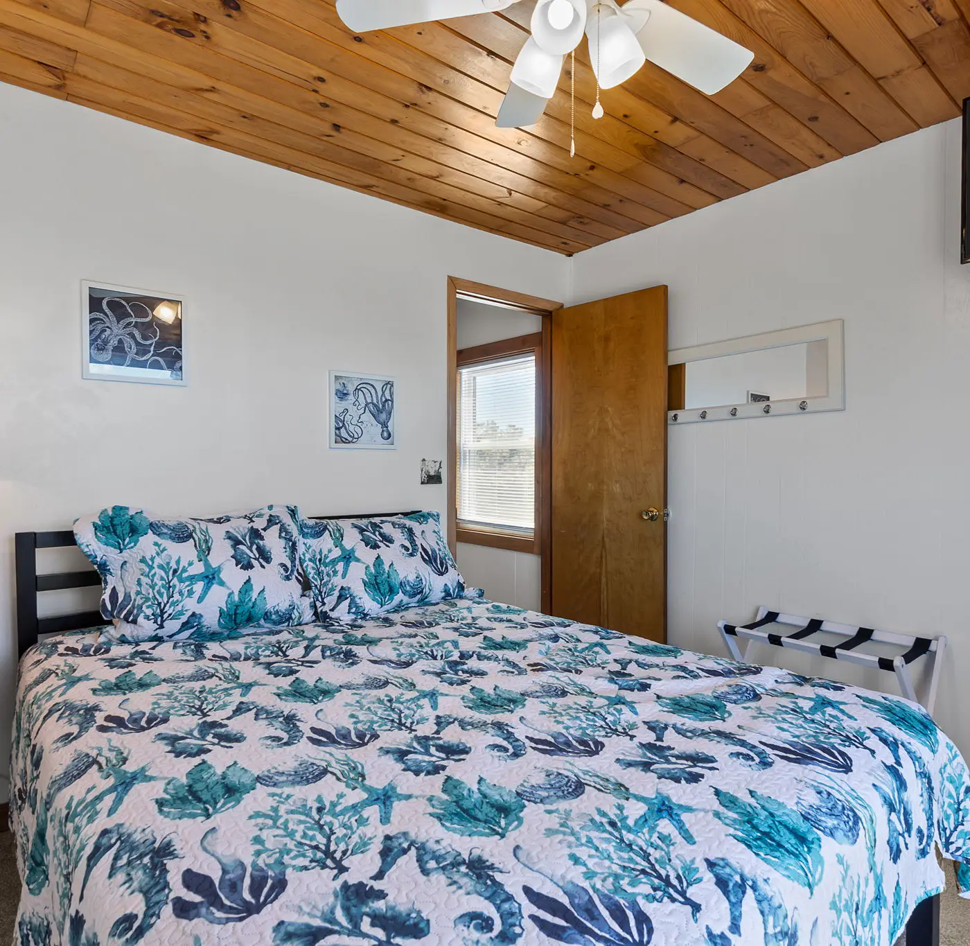 WVWSN23 44 Seashells