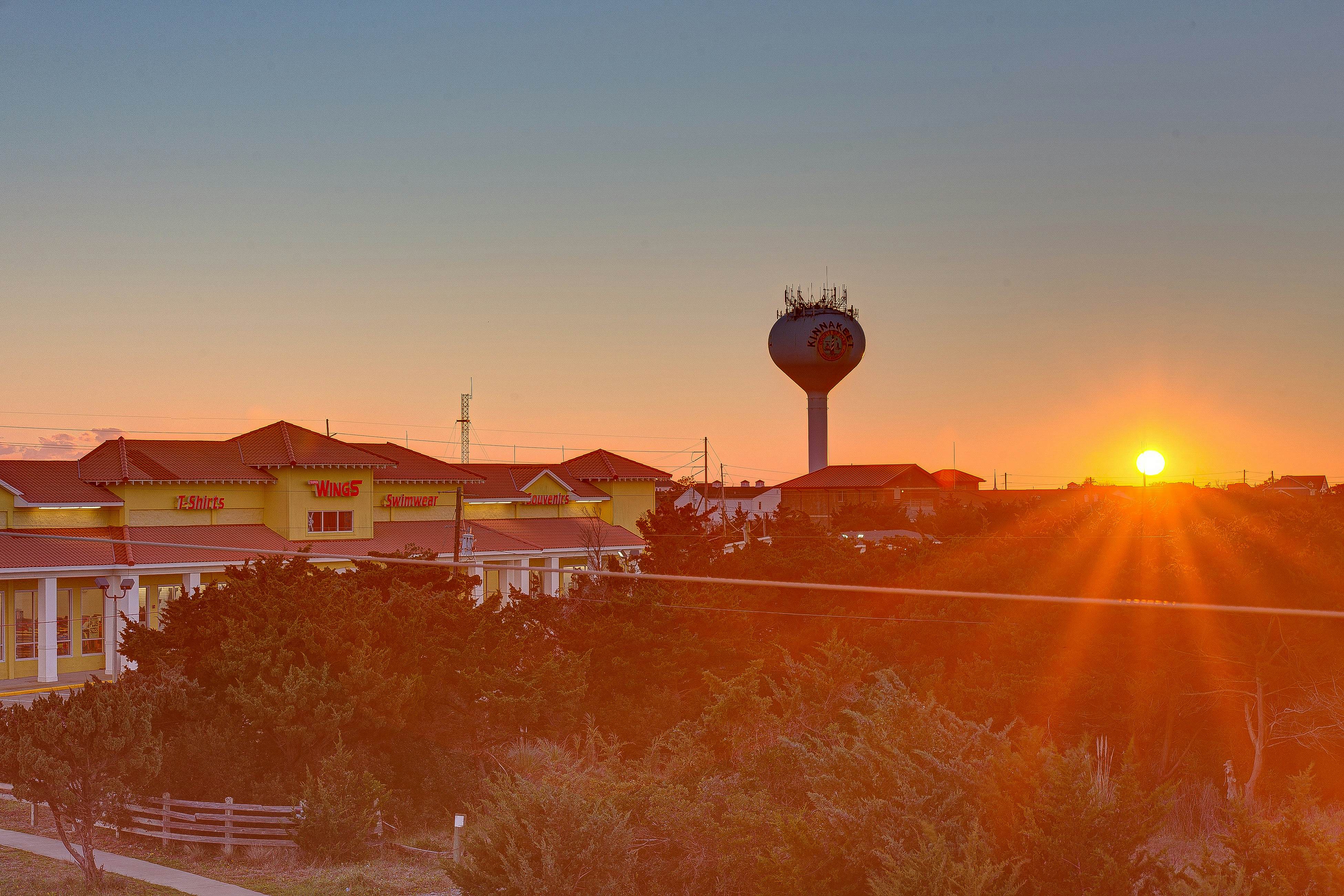 AVLE796 The Shark Tank 796