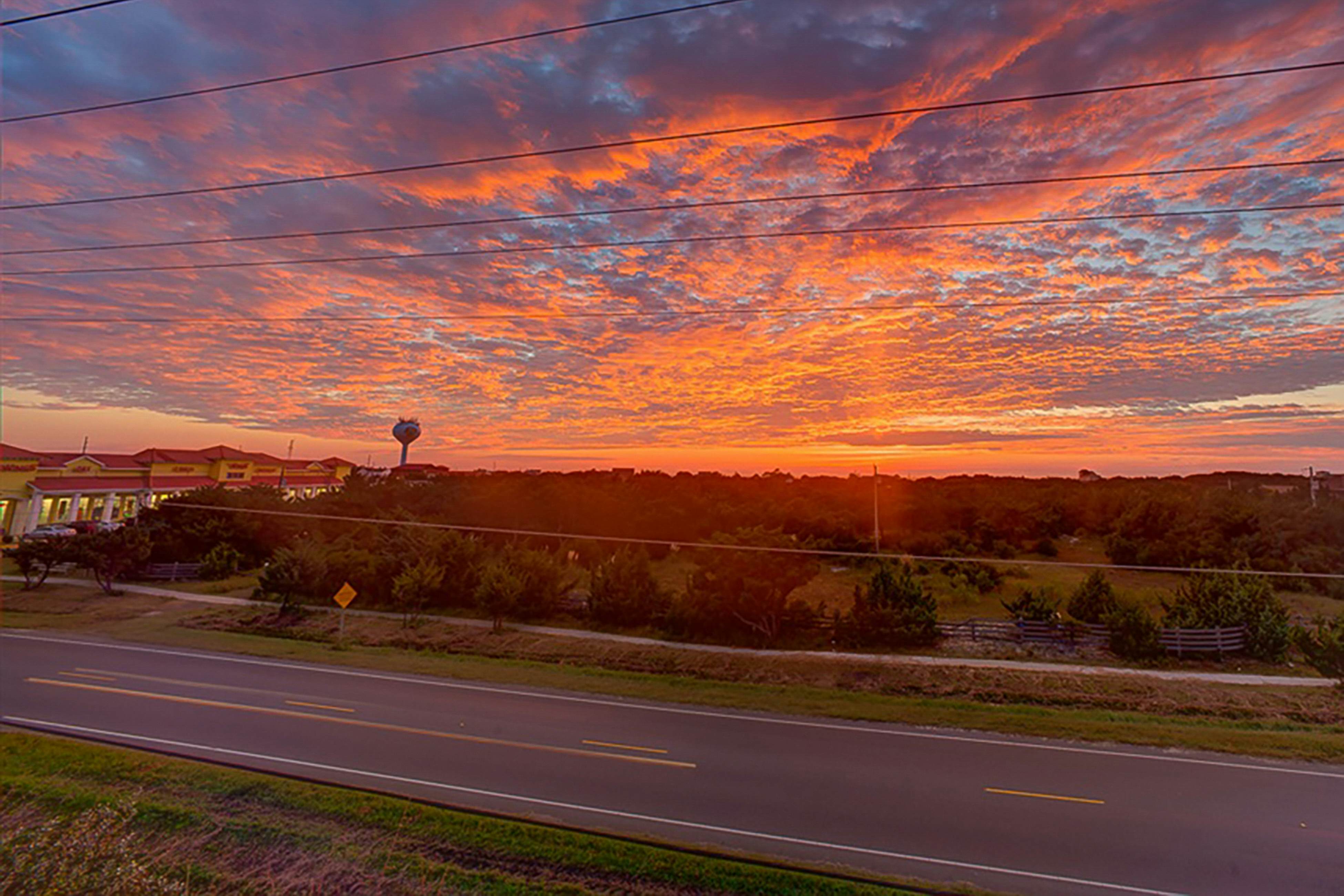 AVLE796 The Shark Tank 796