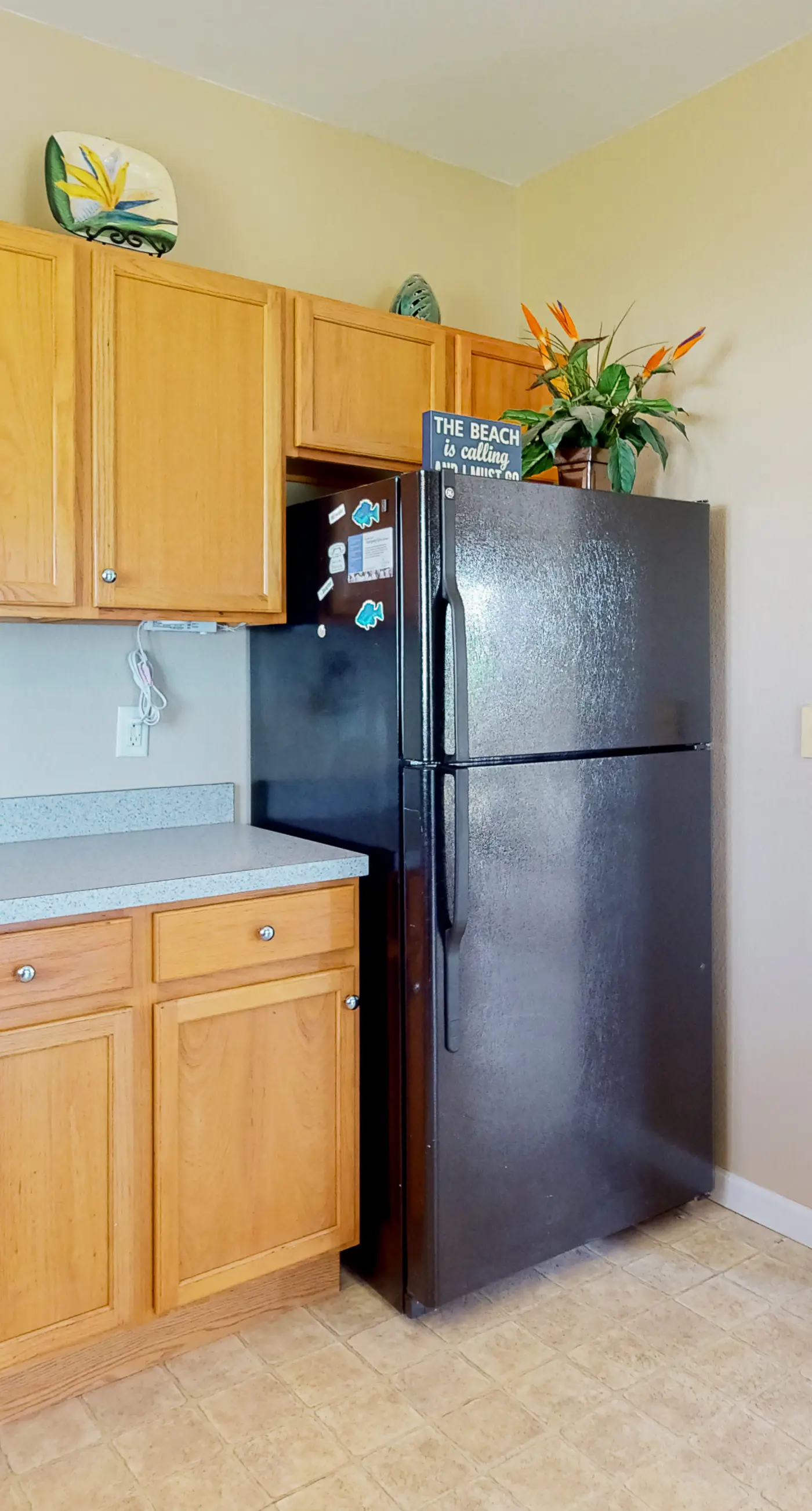 AV104 Blue Bayou