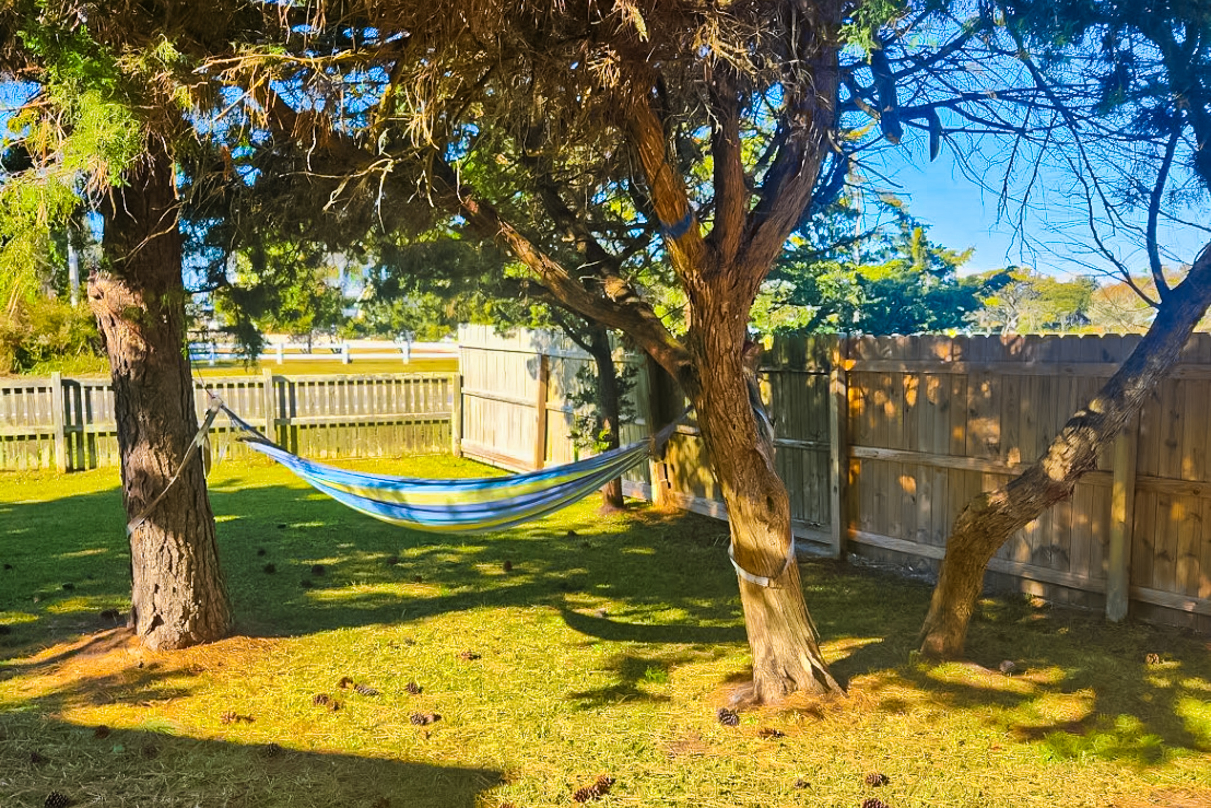 Fully-renovated, dog-friendly home near the beach with fast WiFi, washer/dryer