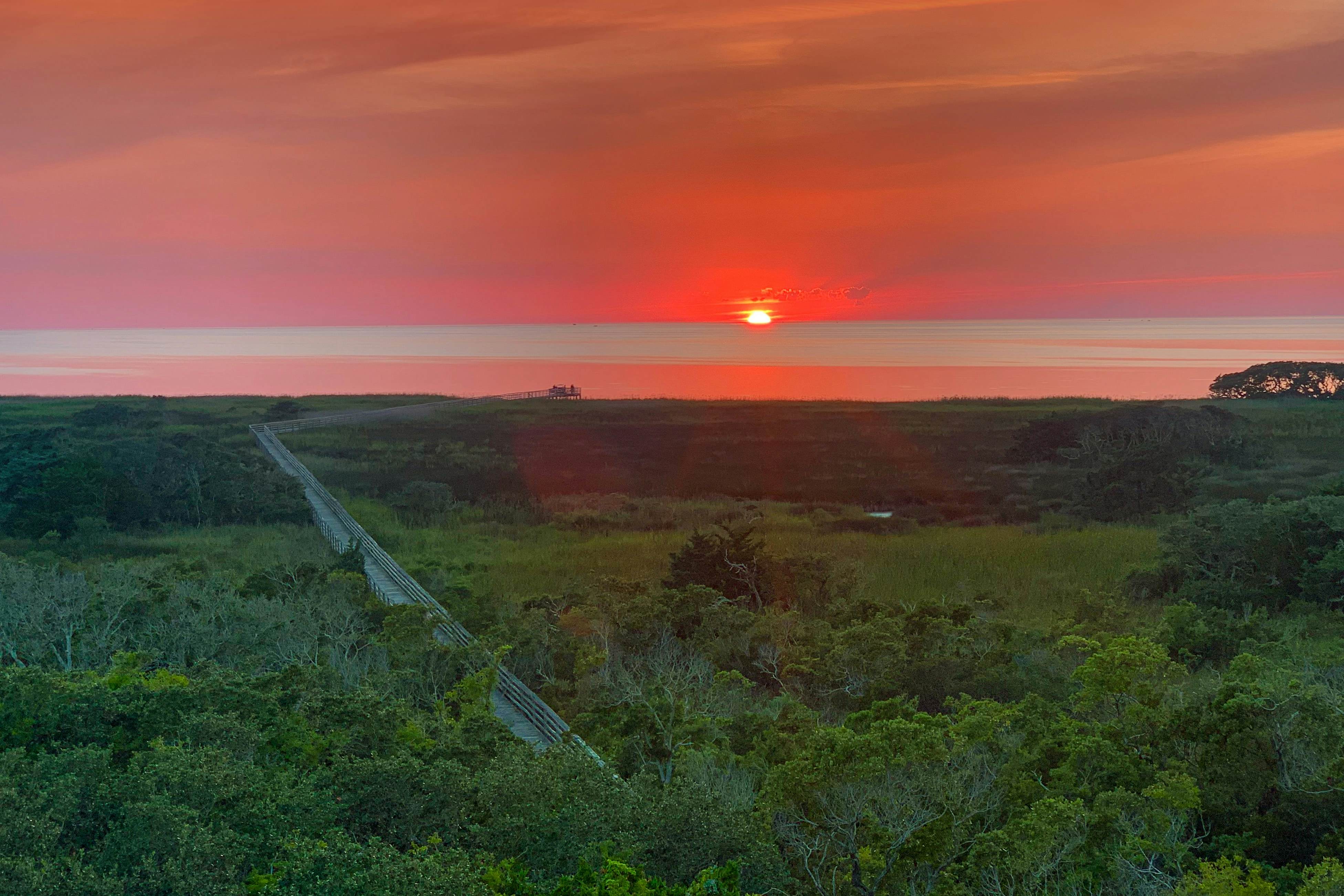 AVKS1115 The Oaks #15-11