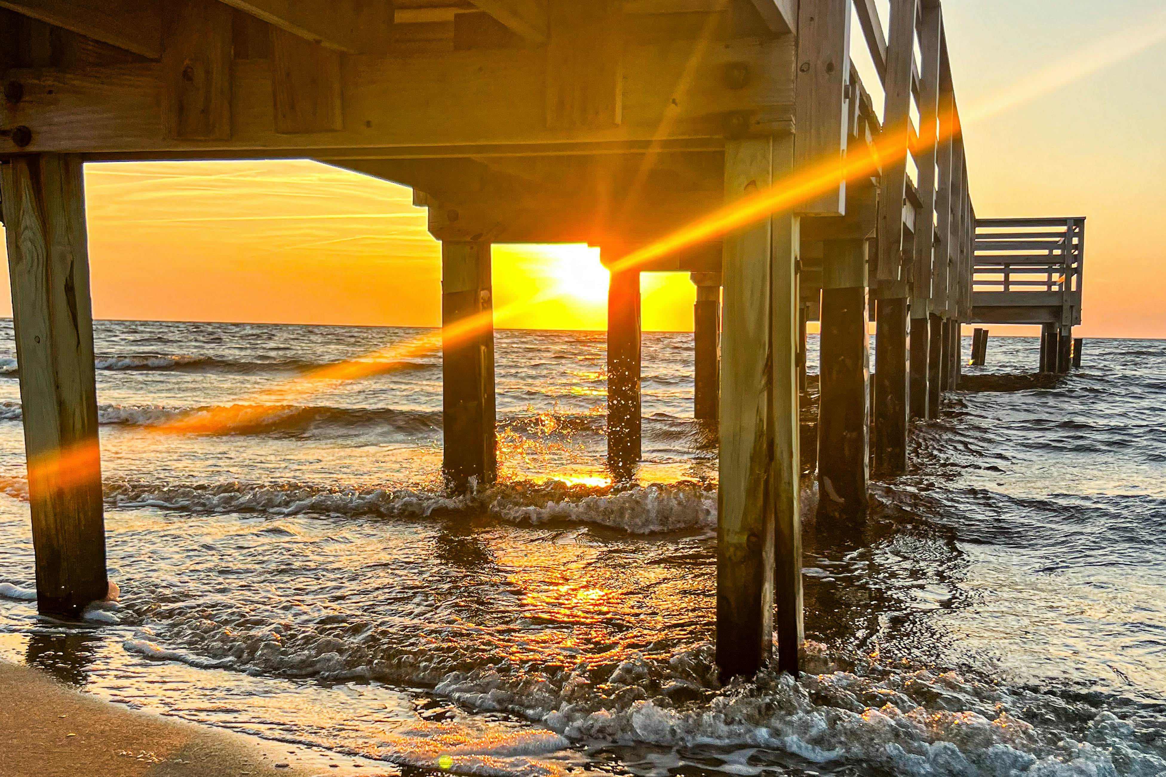 AVKS1115 The Oaks #15-11