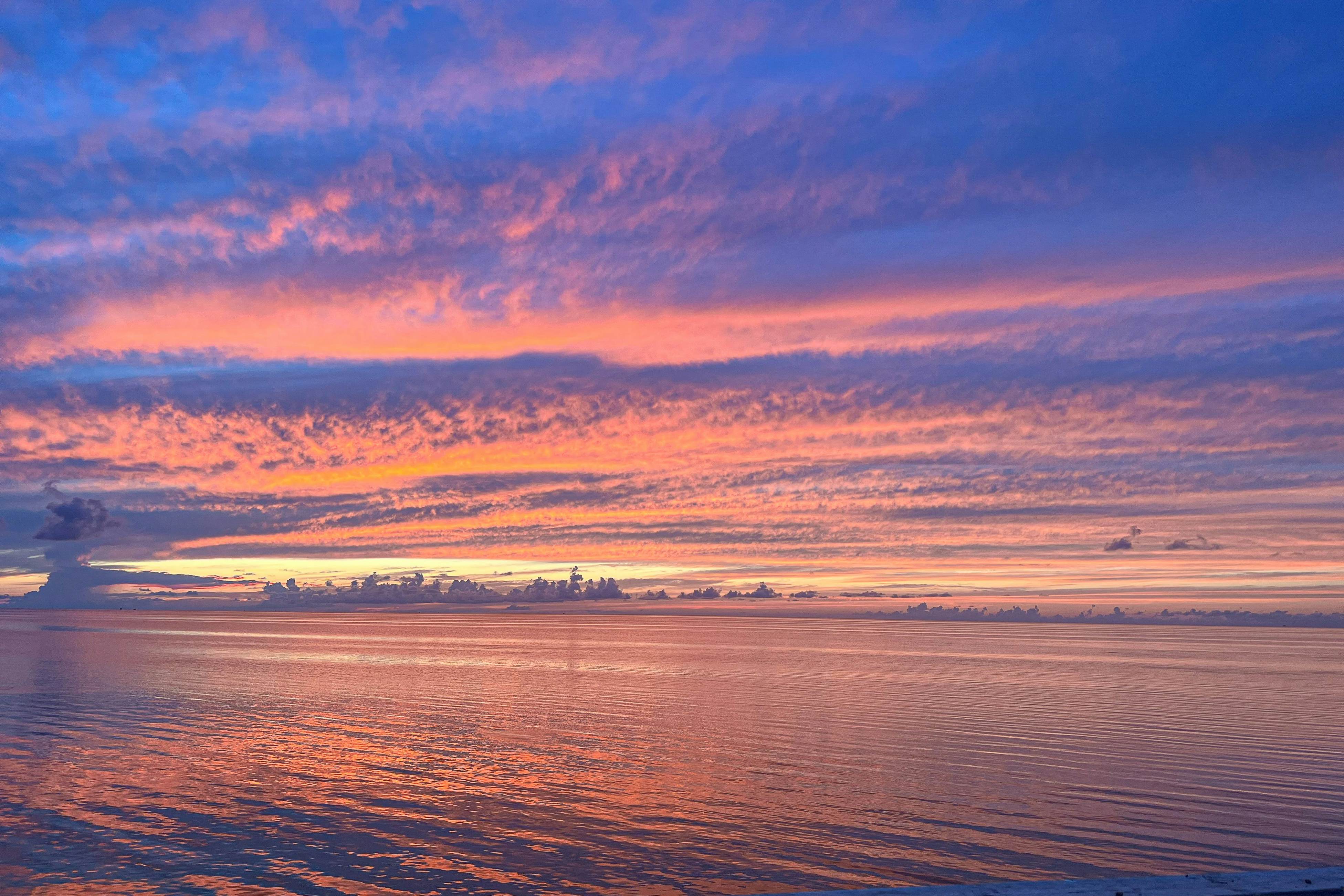 AVKS1115 The Oaks #15-11