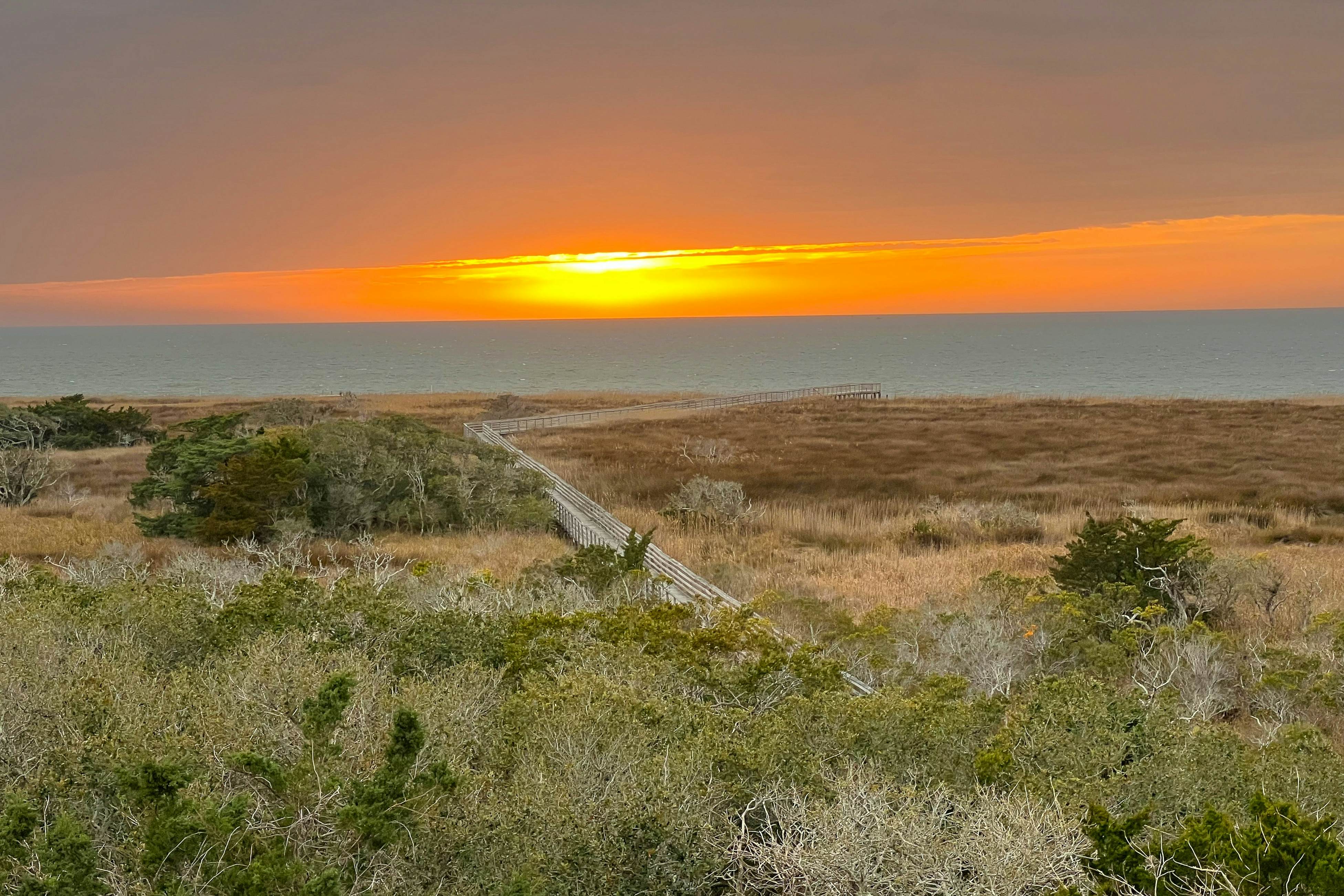 AVKS1115 The Oaks #15-11