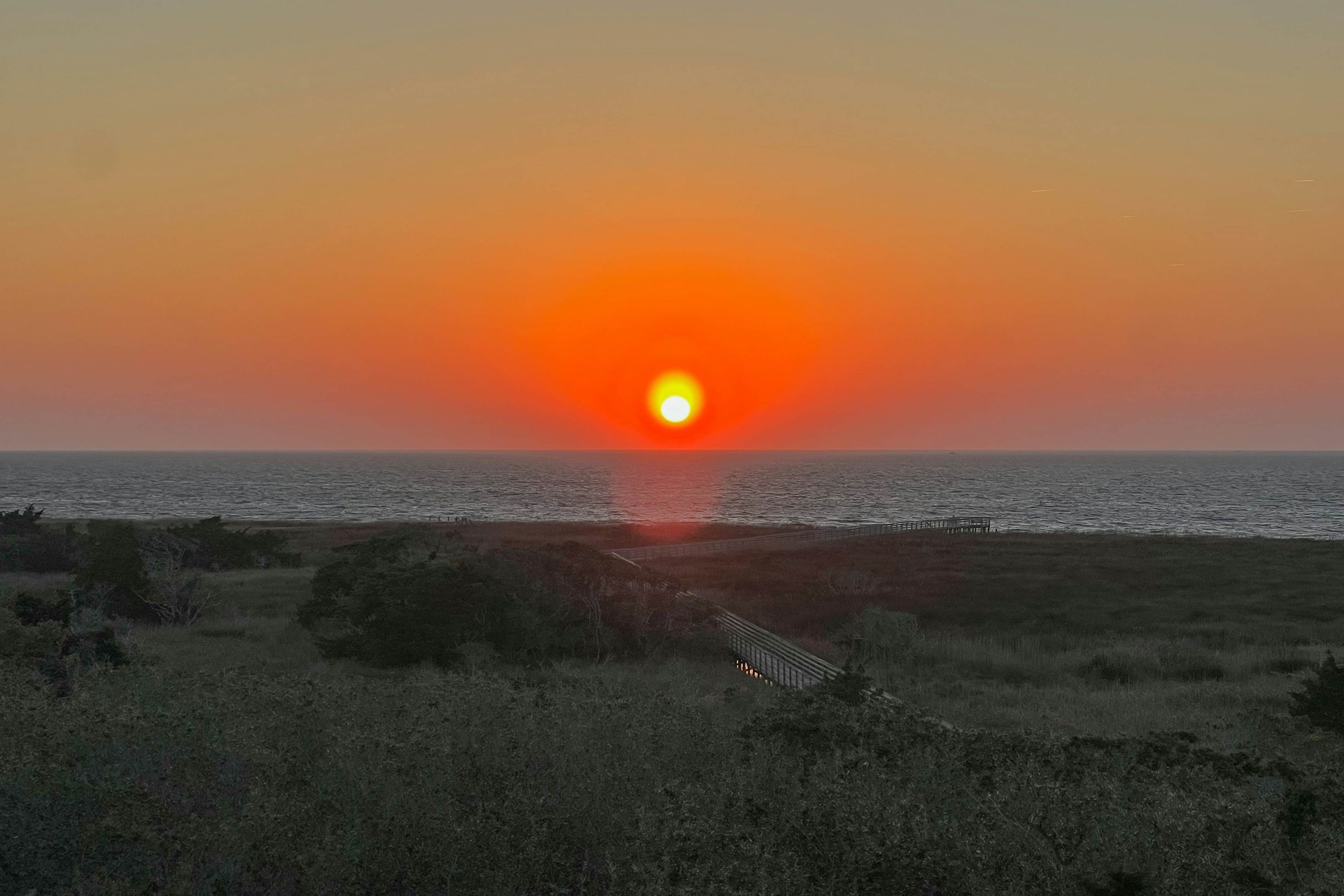 AVKS1115 The Oaks #15-11