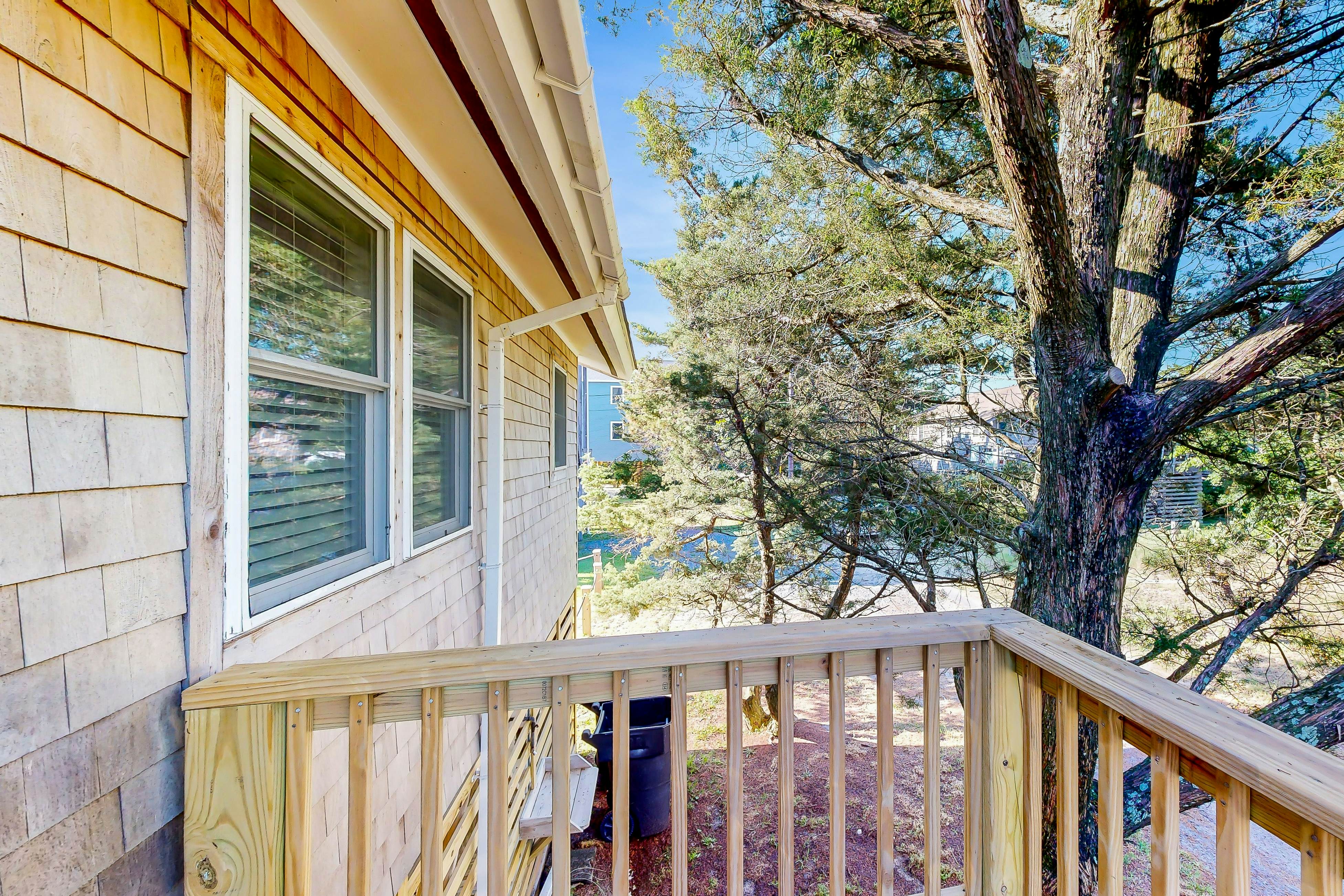 AV289 Spot O' Sun 289