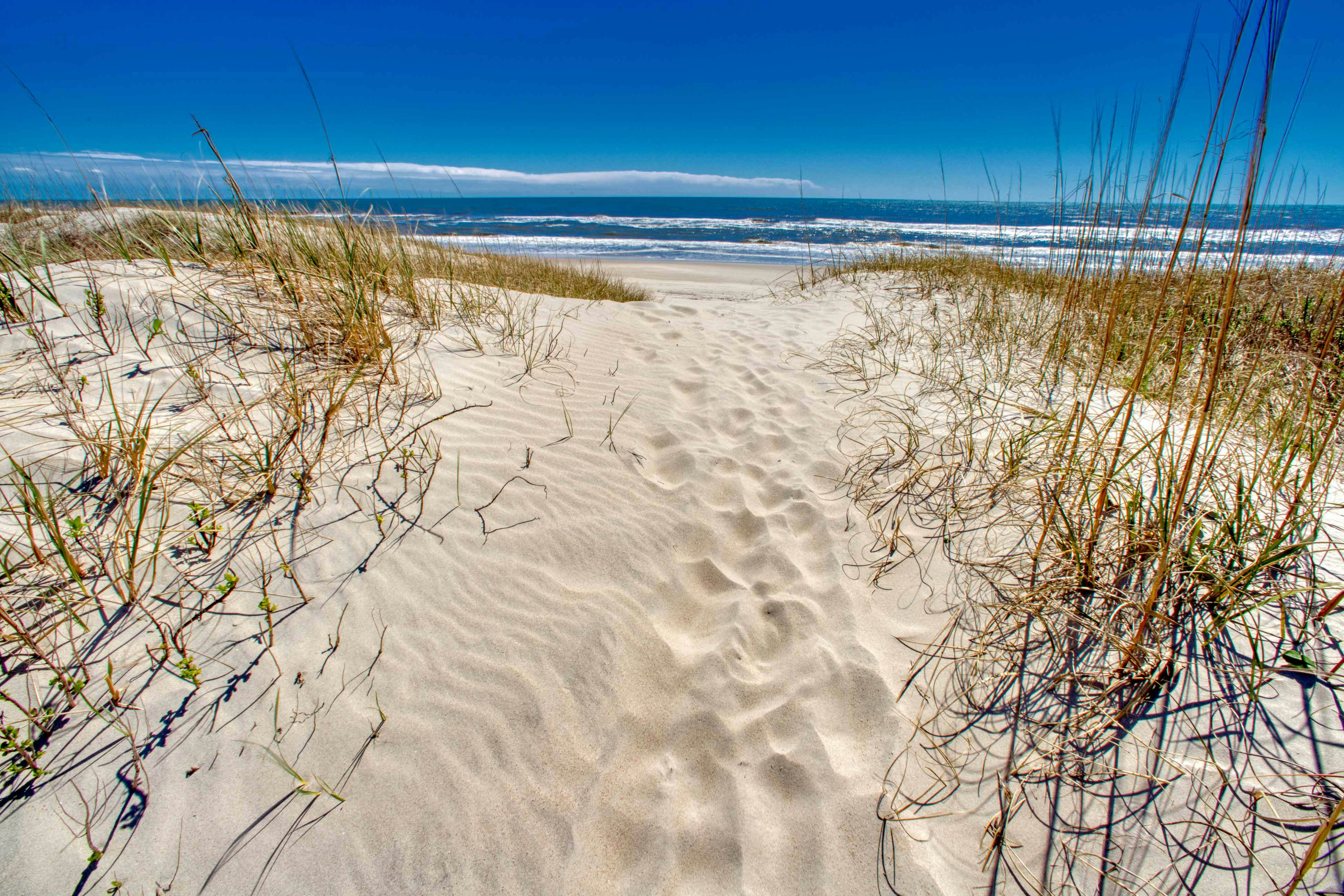 FO959 In Spite of Our Shells 959