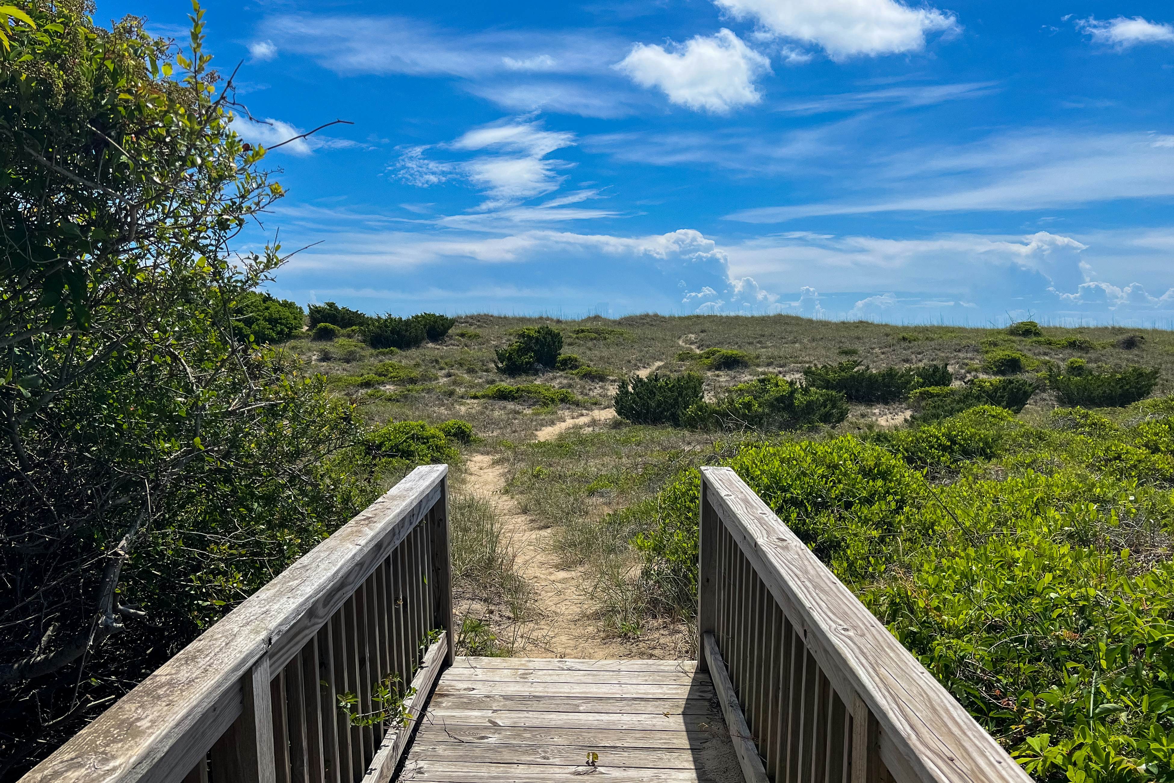 AVHC80 North Beachcomber