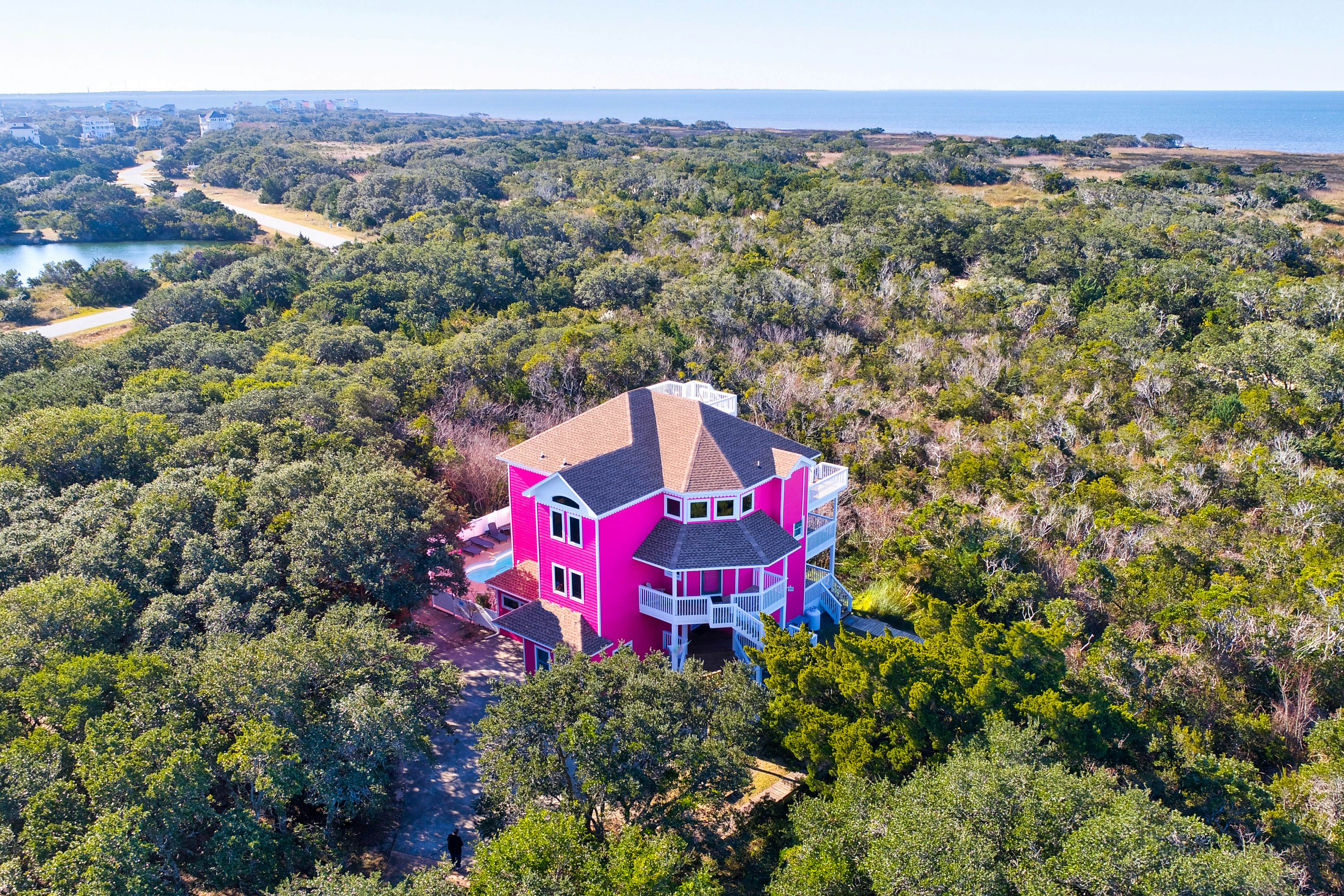 AVKS100 The Pink Flamingo