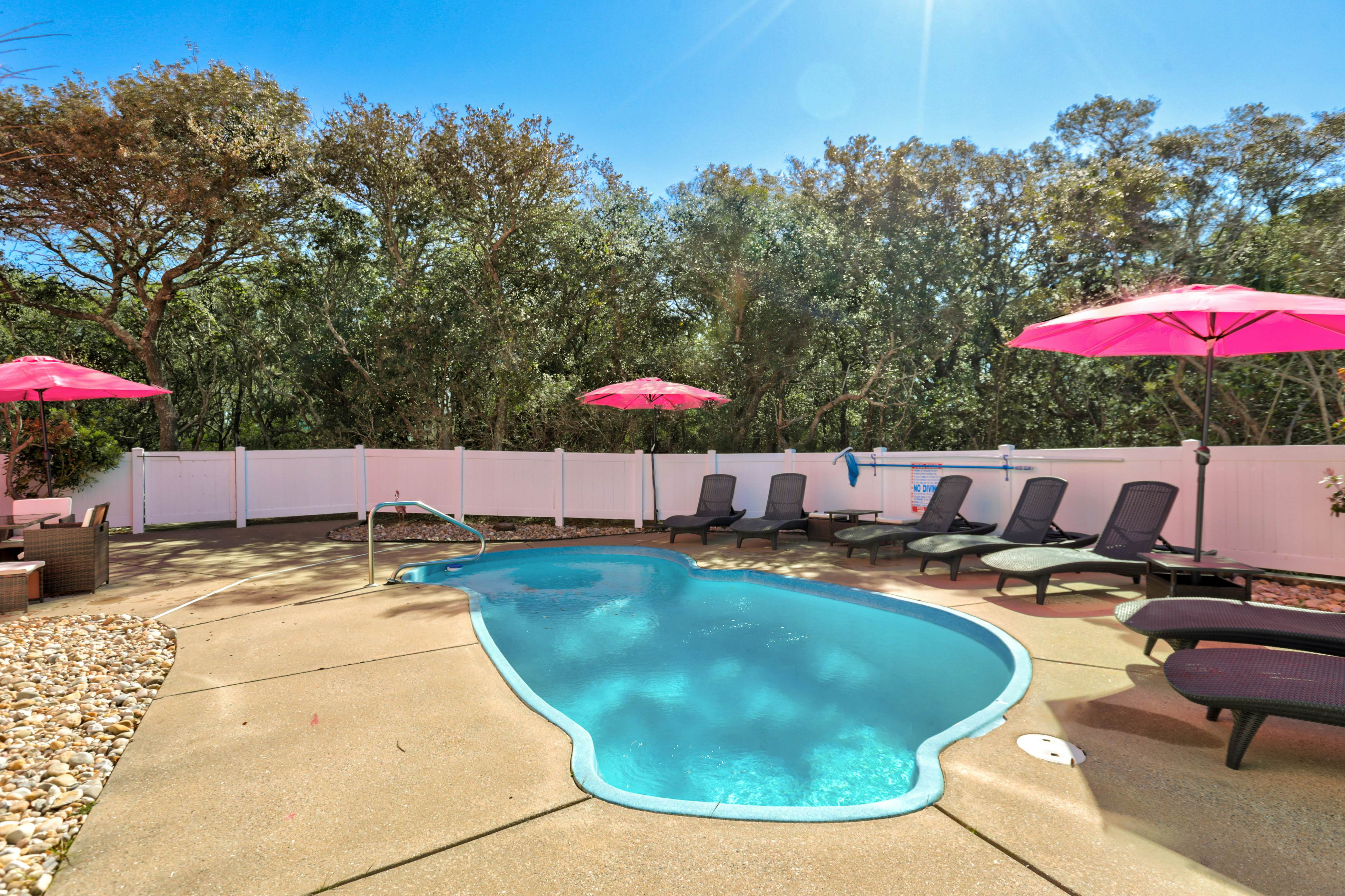 AVKS100 The Pink Flamingo