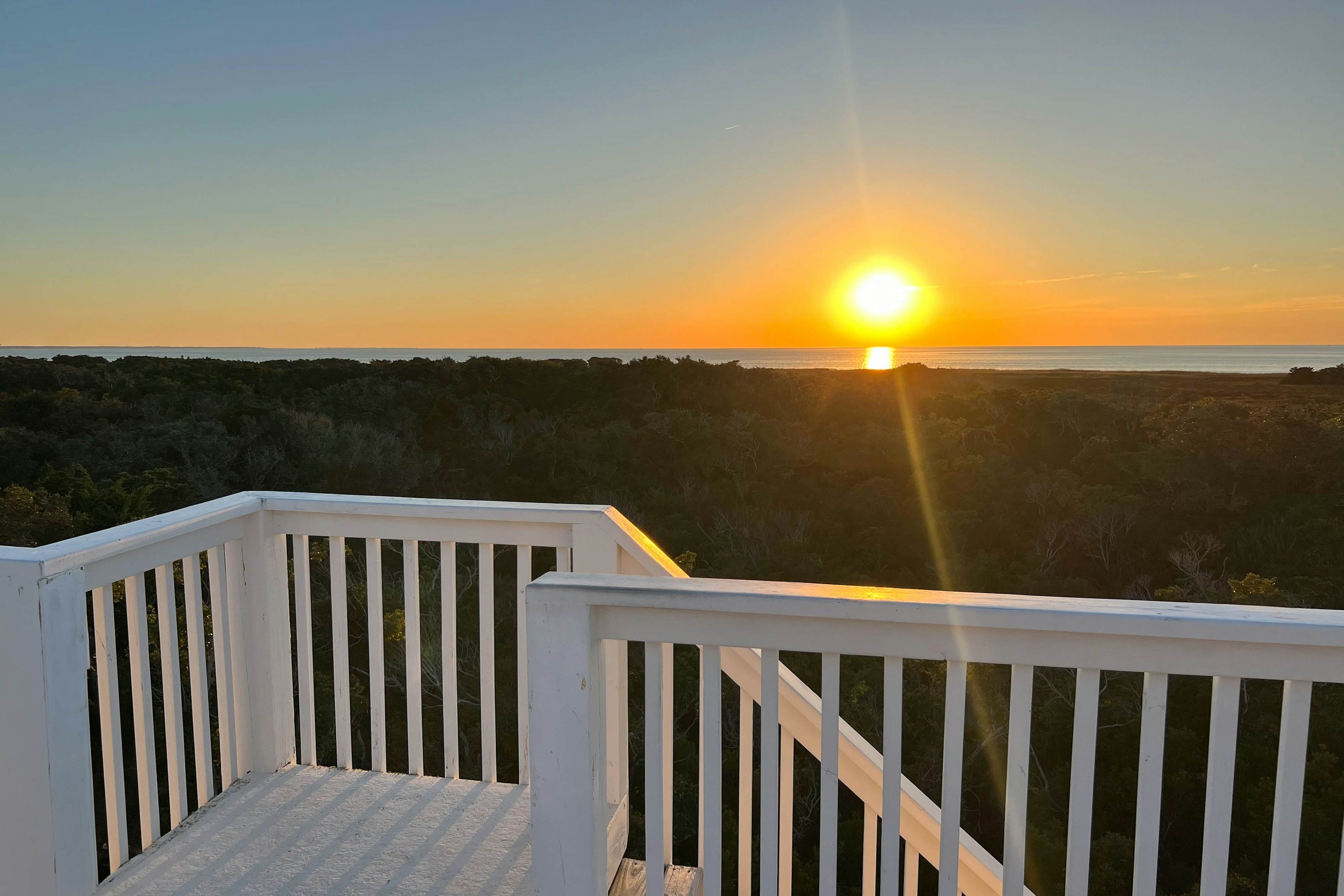 AVKS100 The Pink Flamingo