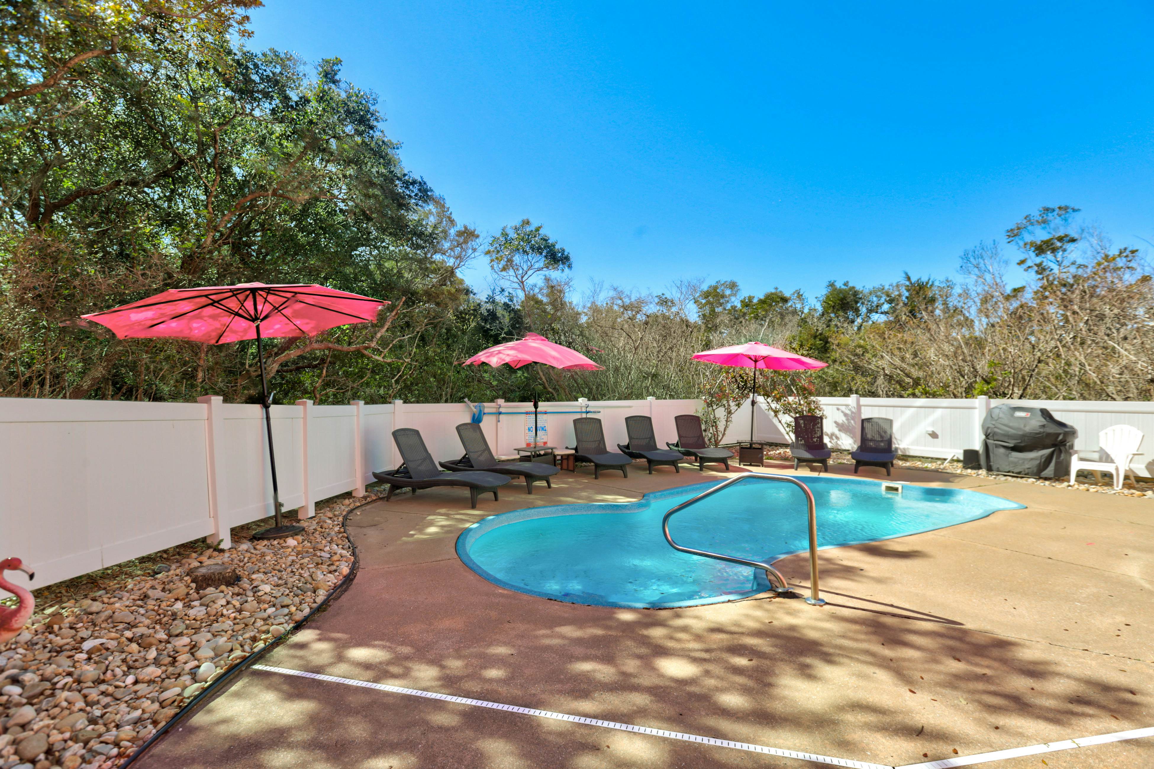 AVKS100 The Pink Flamingo