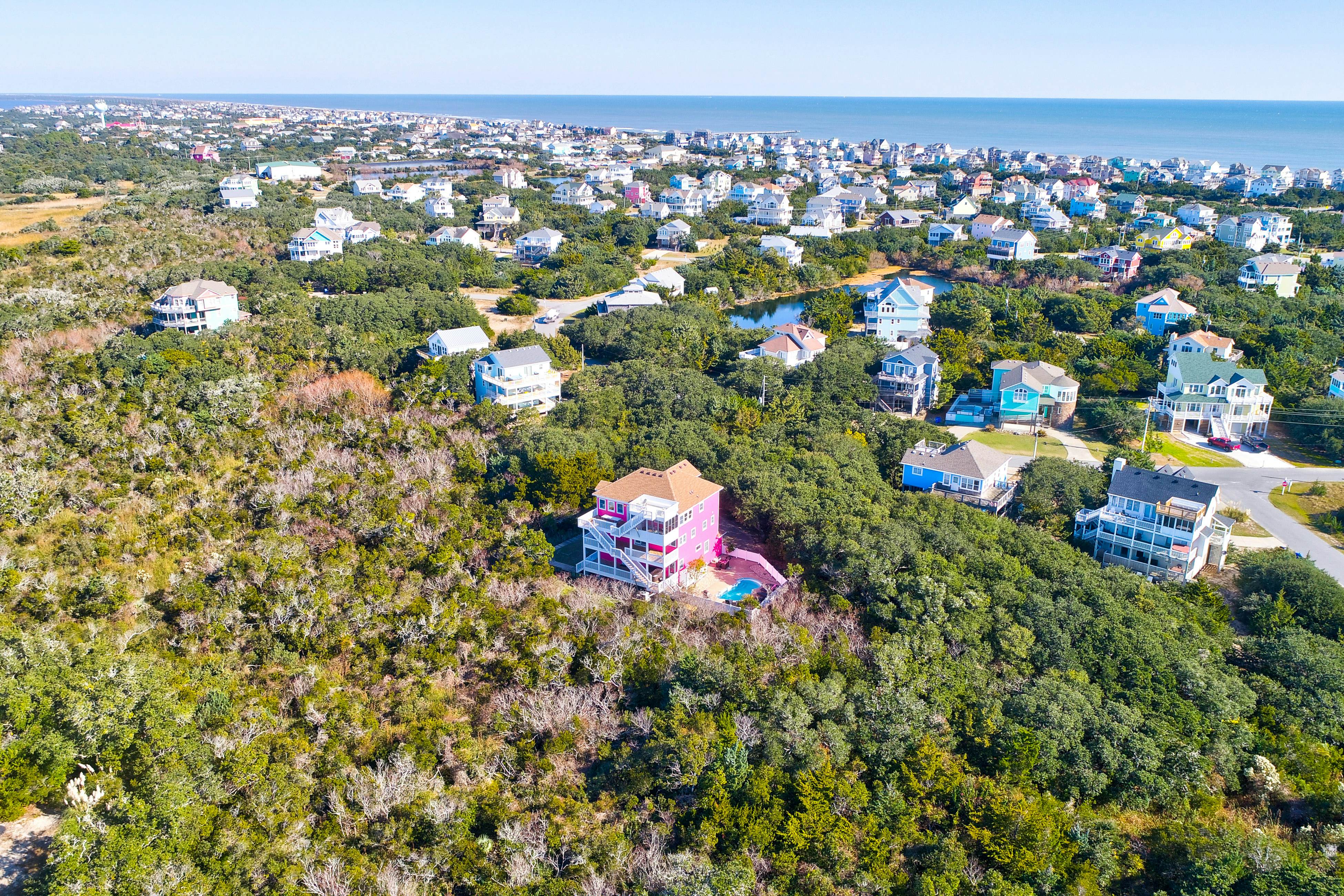 AVKS100 The Pink Flamingo