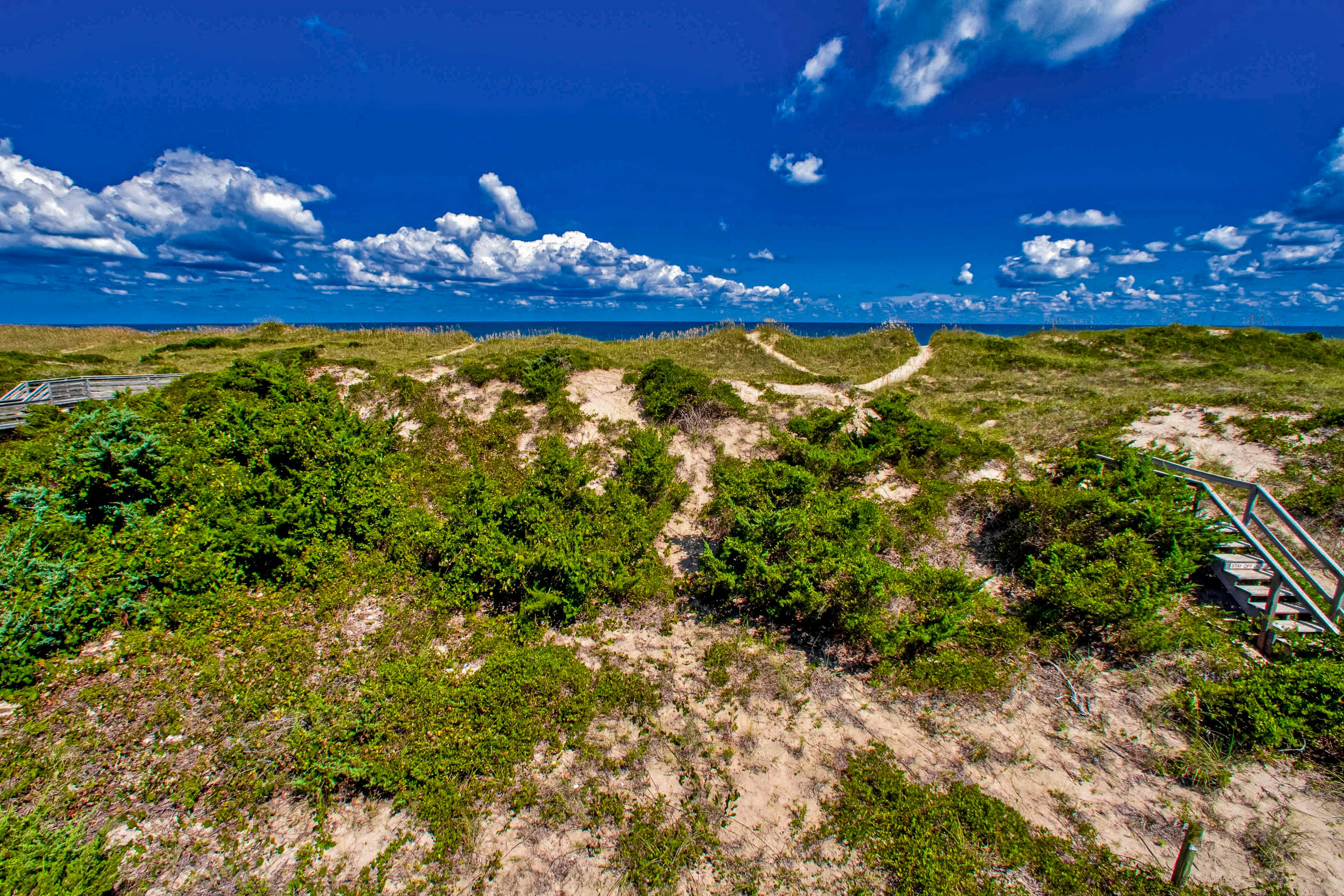 AV80 Carolina House 80