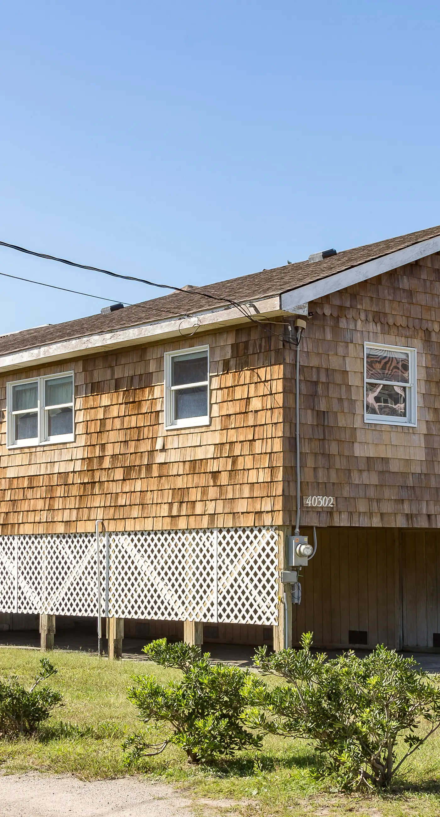 AV147 4 Salty Paws 147