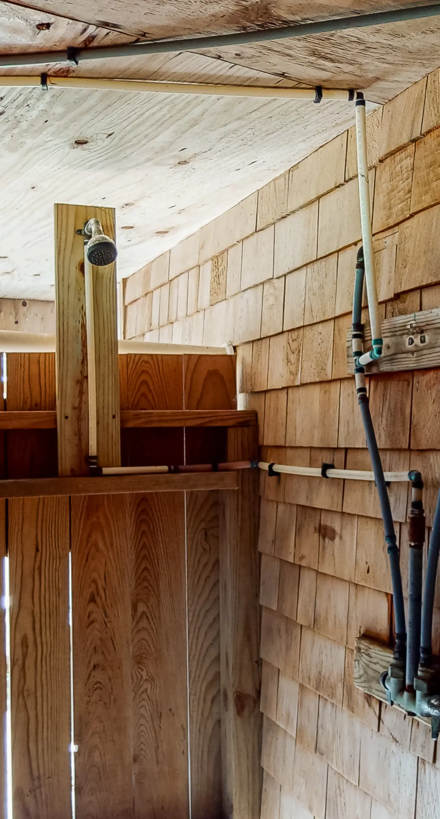 Beanie's Bungalow #3-HC