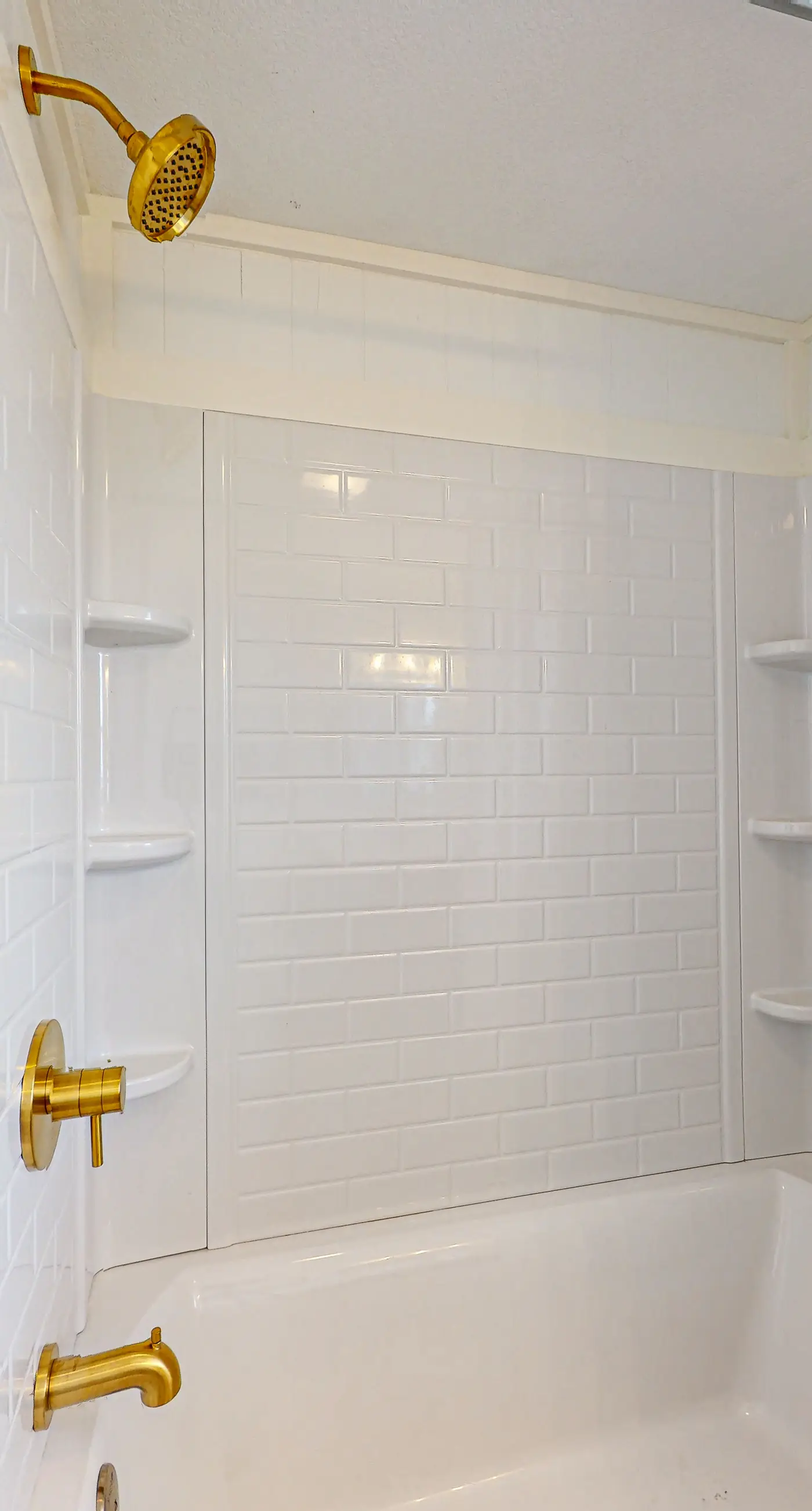 FO12 The Noisy Oyster