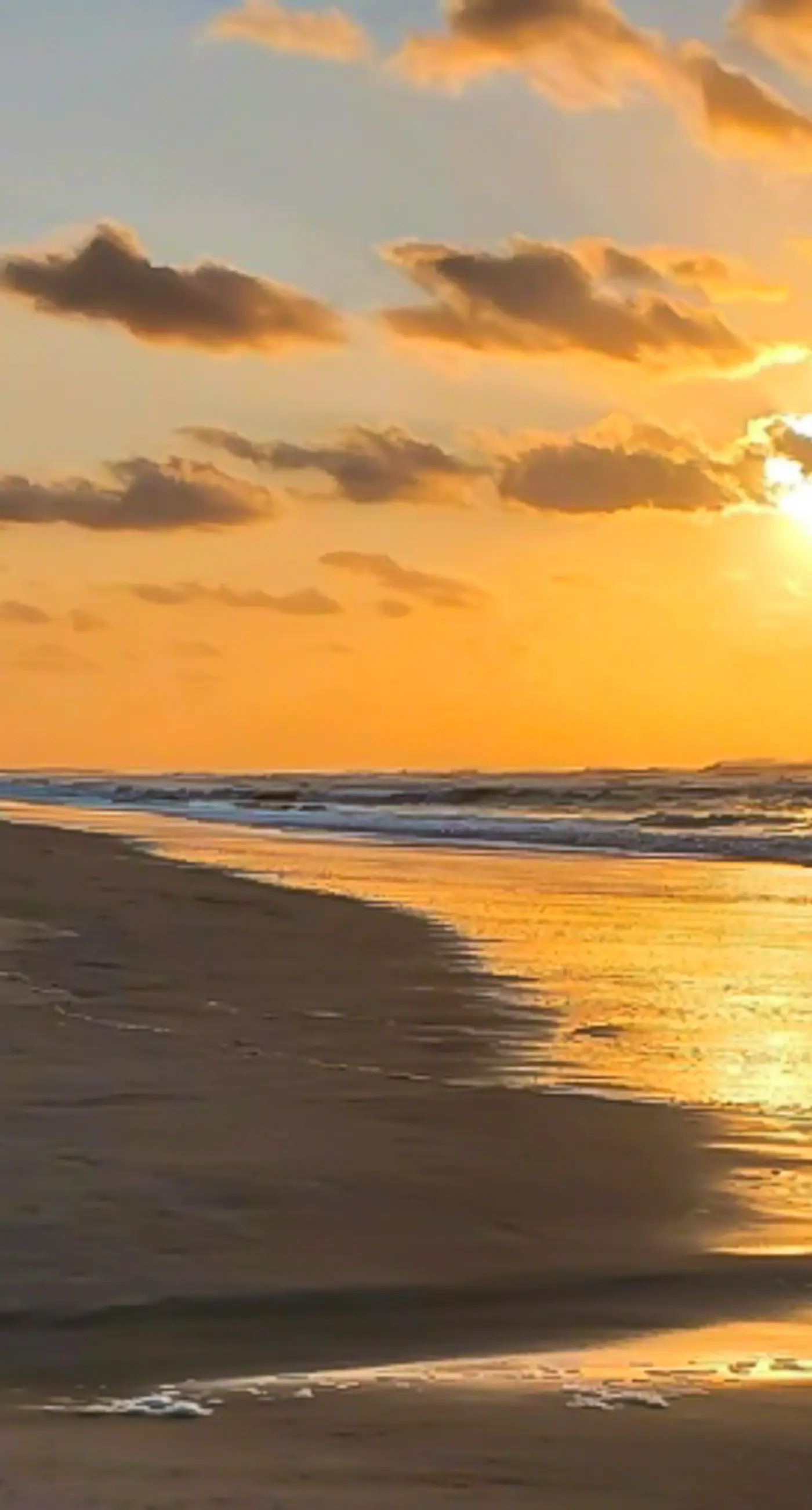 FO12 The Noisy Oyster