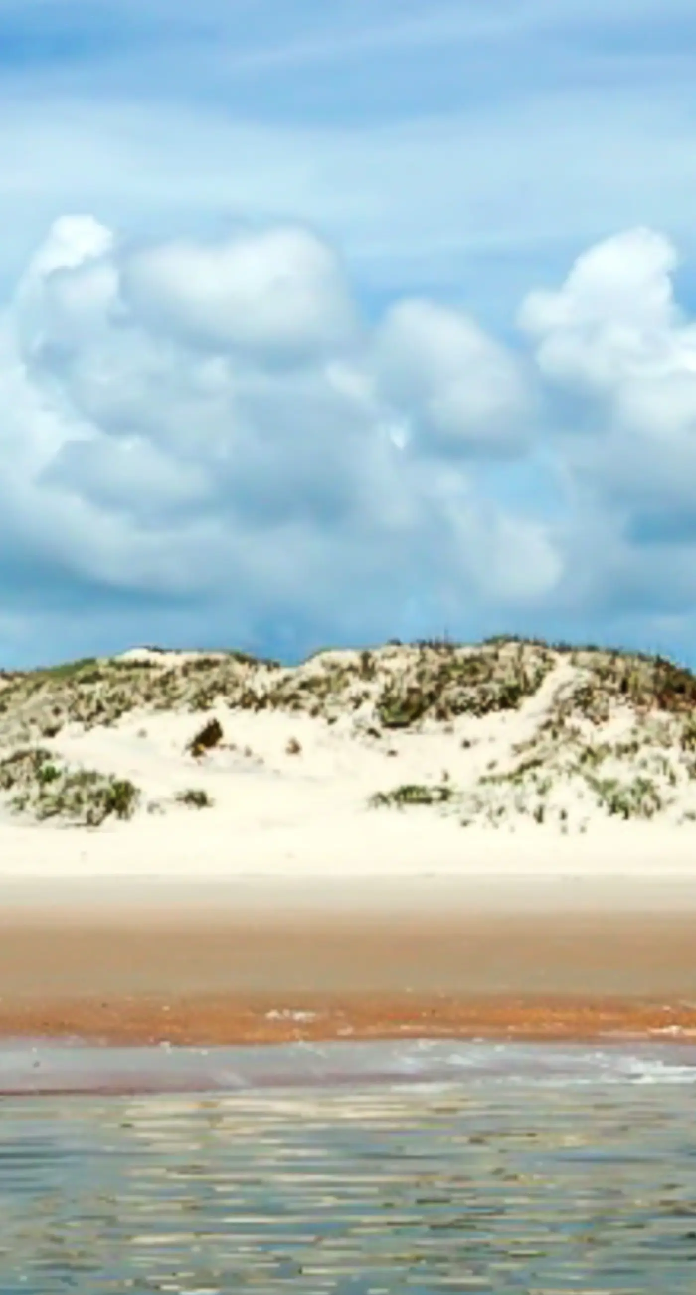 FO12 The Noisy Oyster