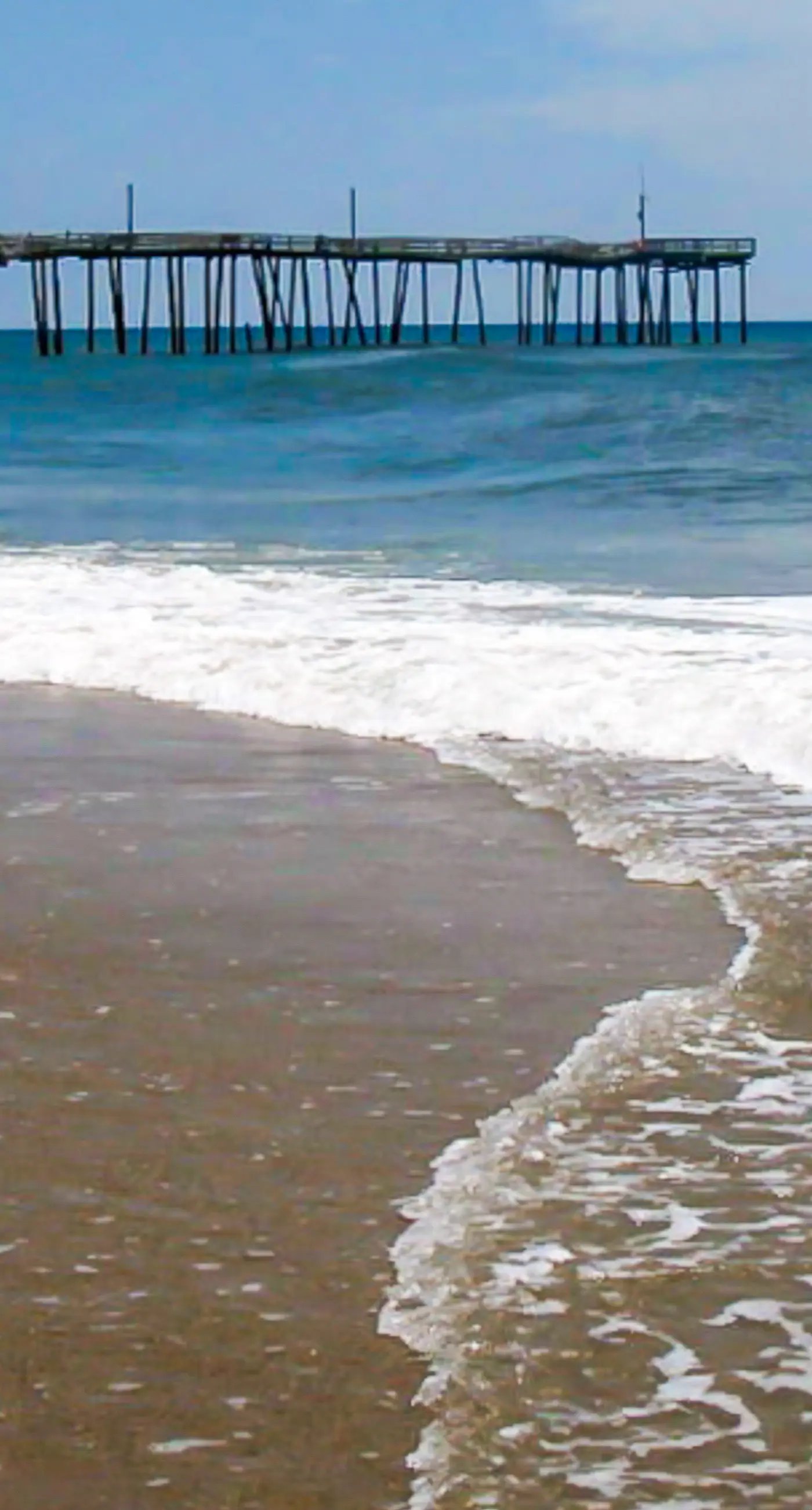 FO12 The Noisy Oyster