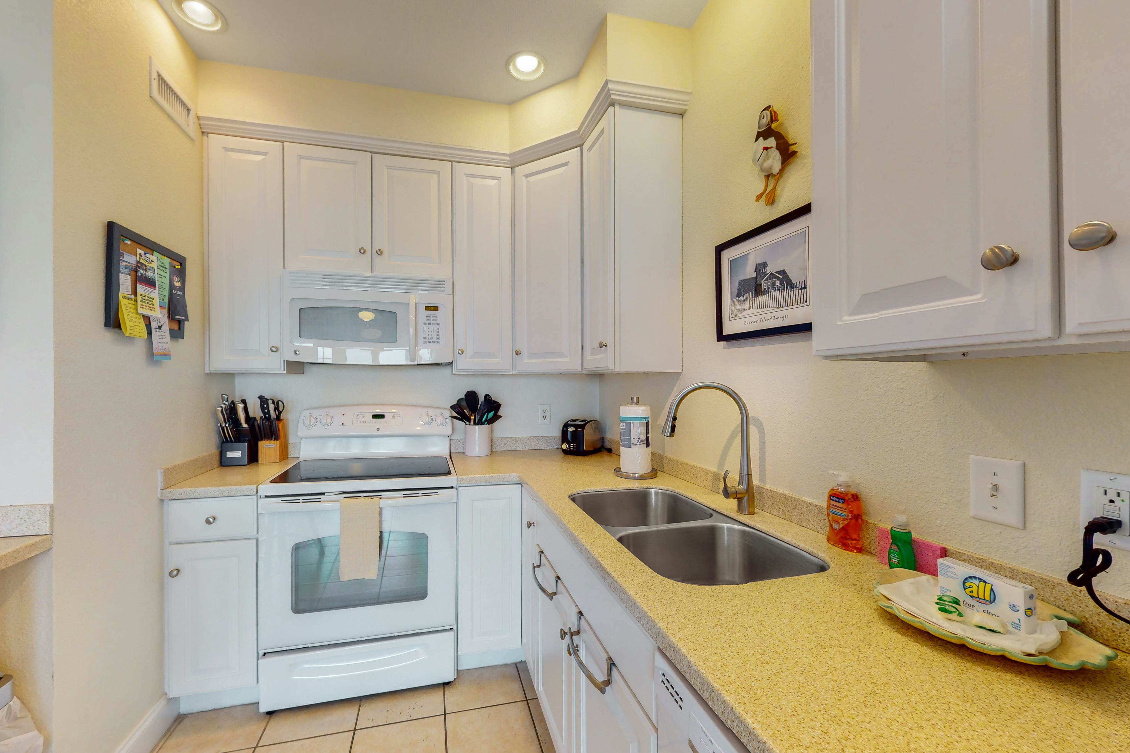 HADS302 Whale Watch  #302DS-H