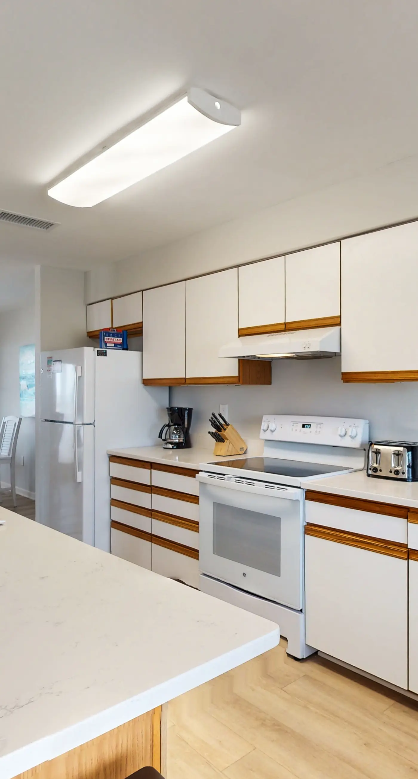 BXCACA3 Clownfish #3A-CAC