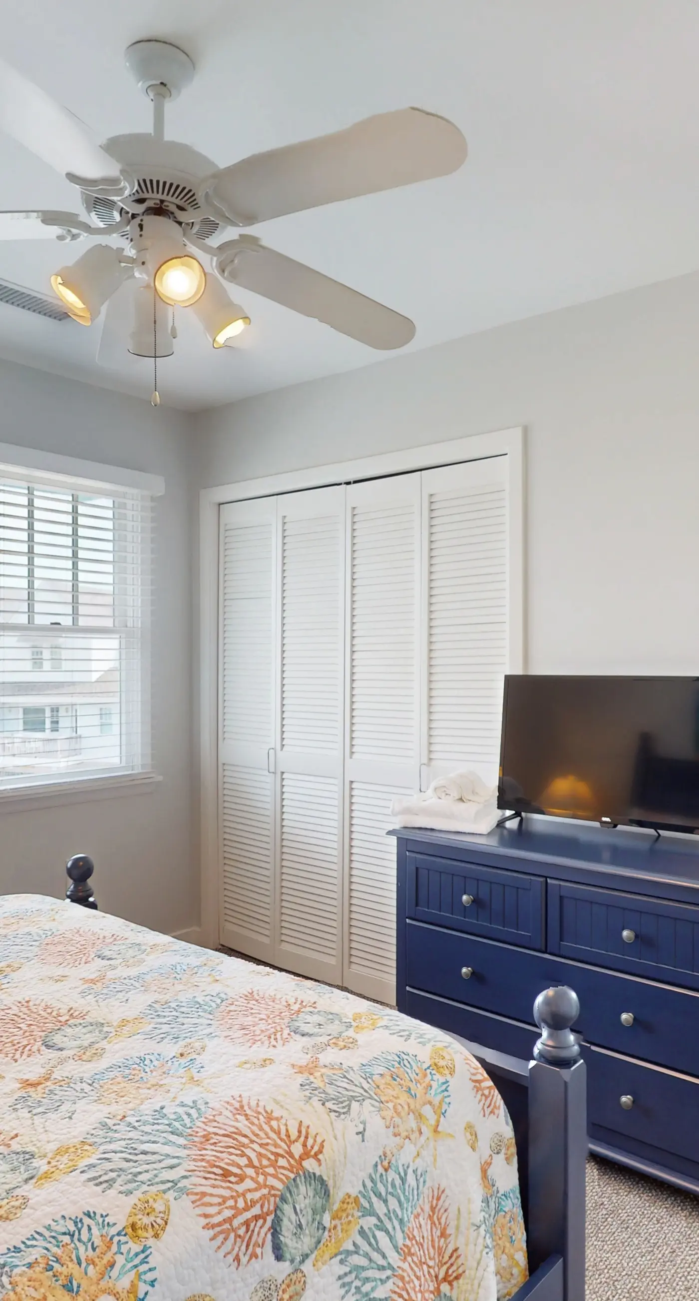 BXCACA3 Clownfish #3A-CAC