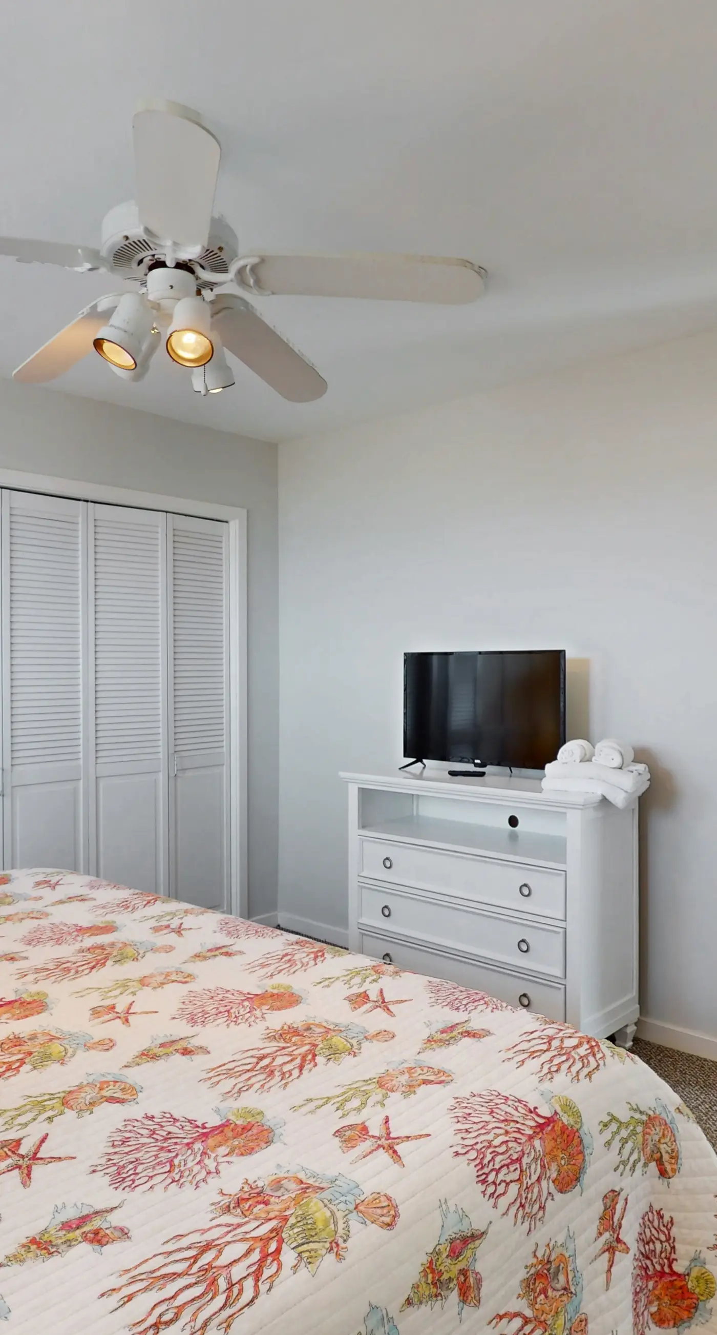 BXCACA3 Clownfish #3A-CAC