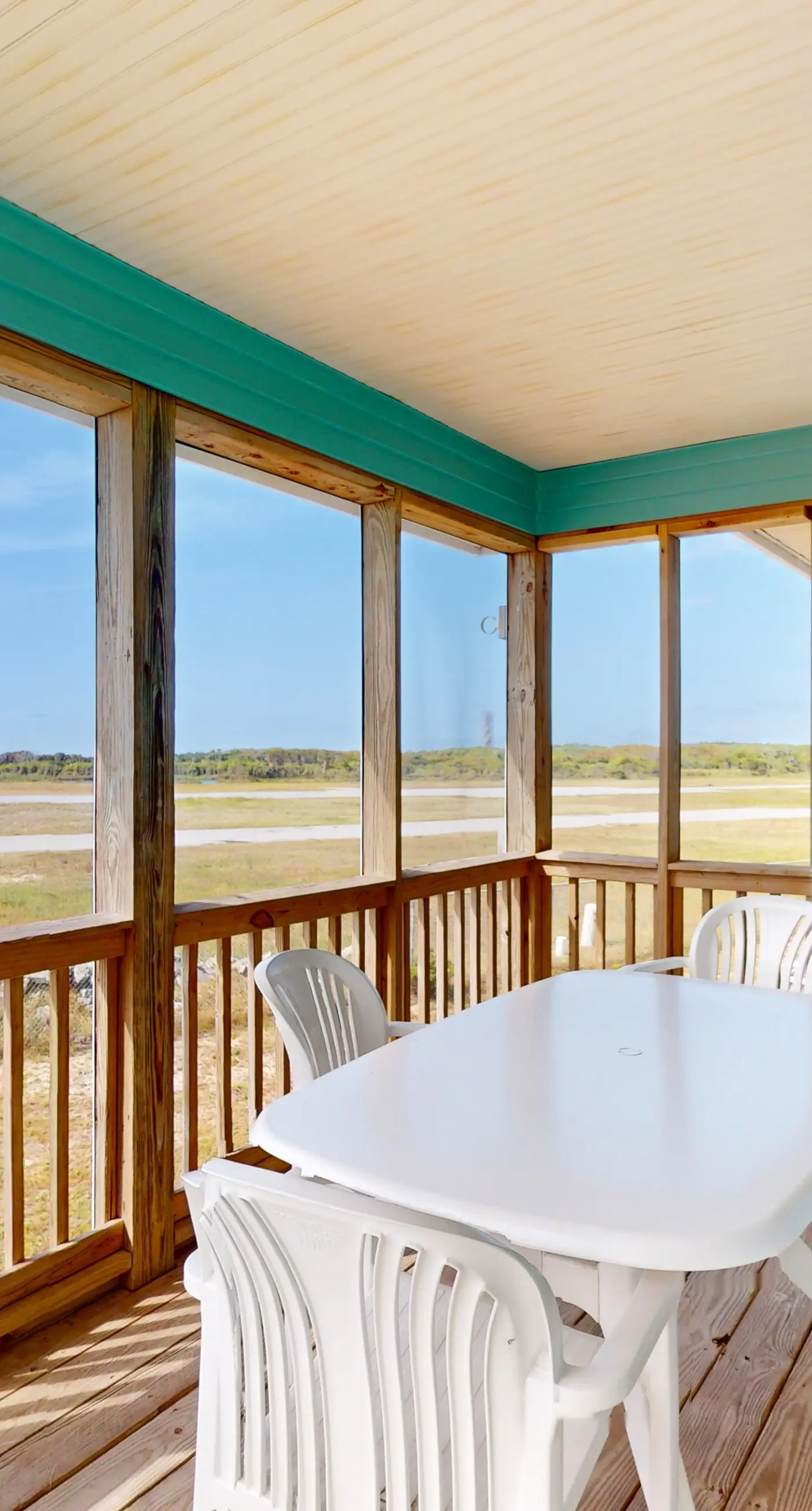 BXCACA3 Clownfish #3A-CAC