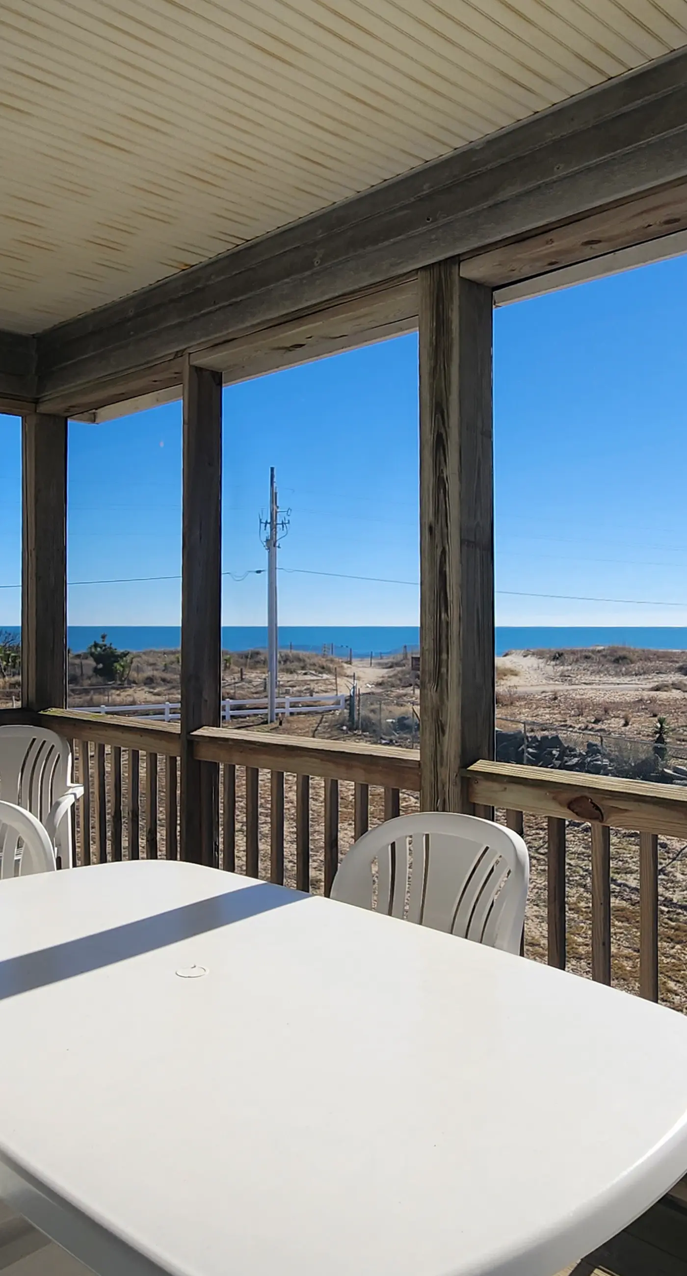 BXCACA3 Clownfish #3A-CAC