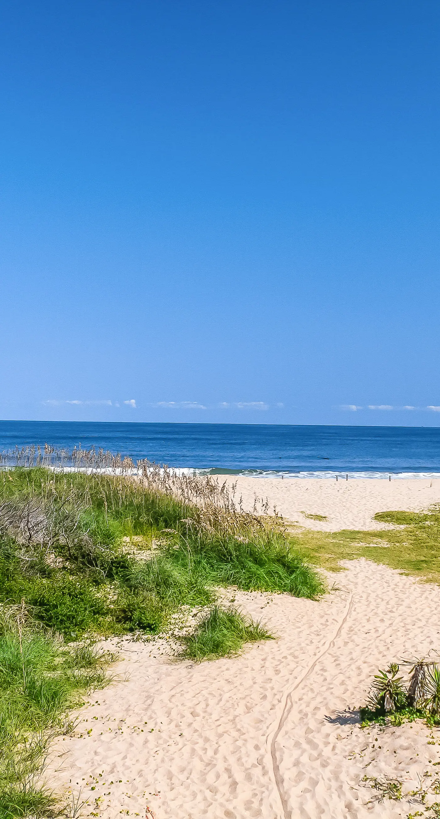 BXCACA3 Clownfish #3A-CAC