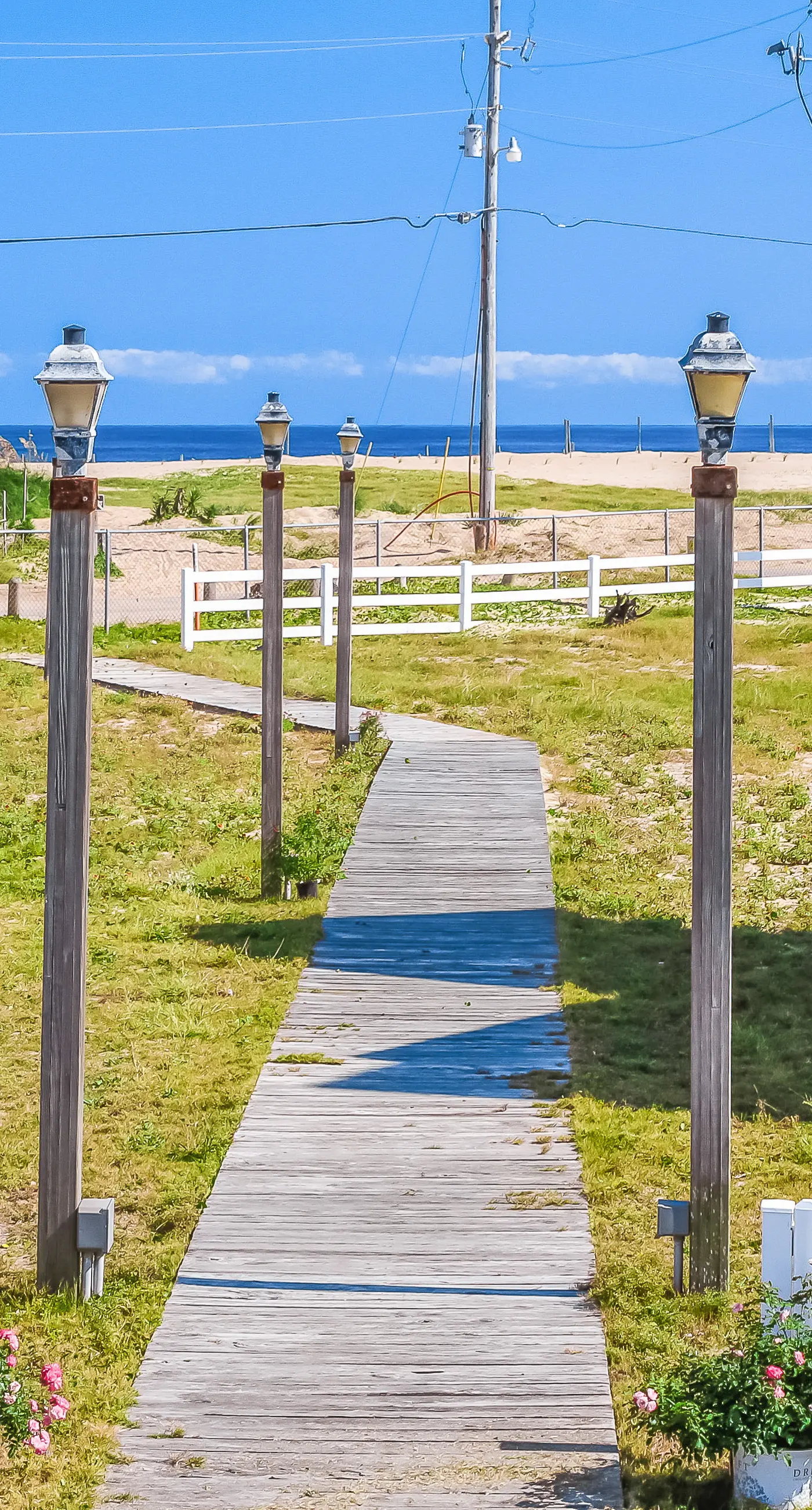 BXCACA3 Clownfish #3A-CAC