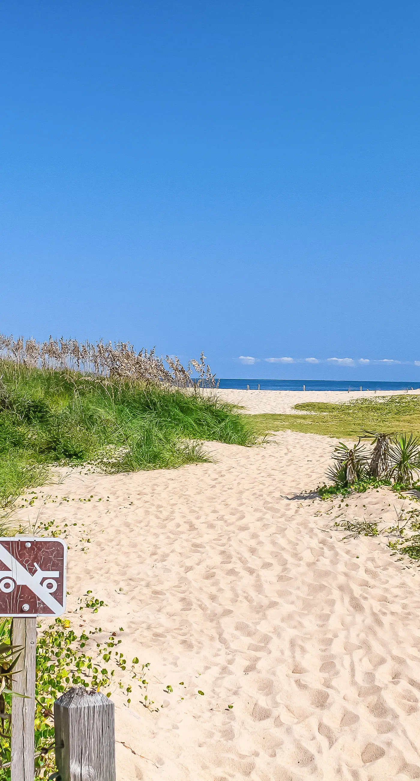 BXCACA3 Clownfish #3A-CAC