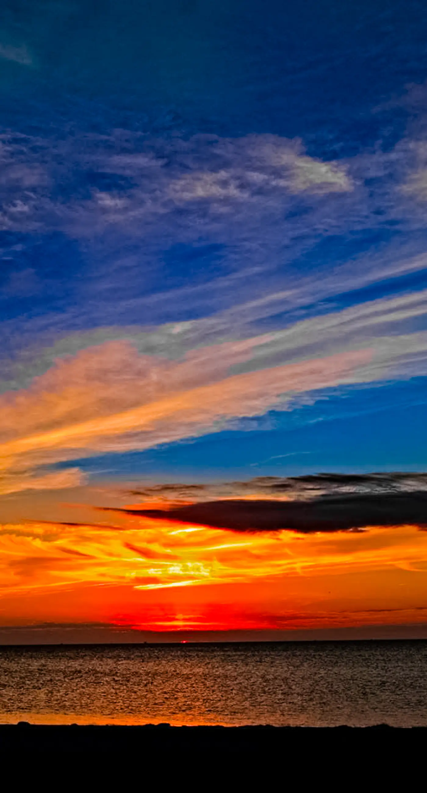 BXOR01 Holiday House