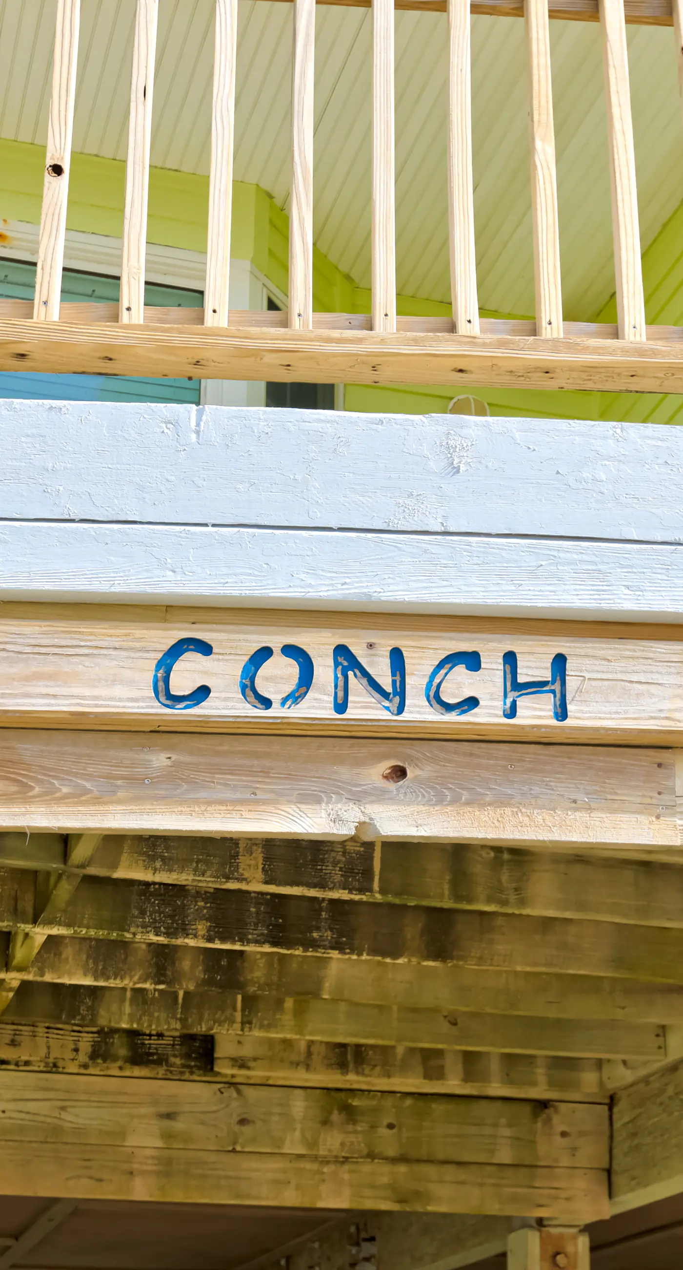 BXCACA4 Conch #4A-CAC