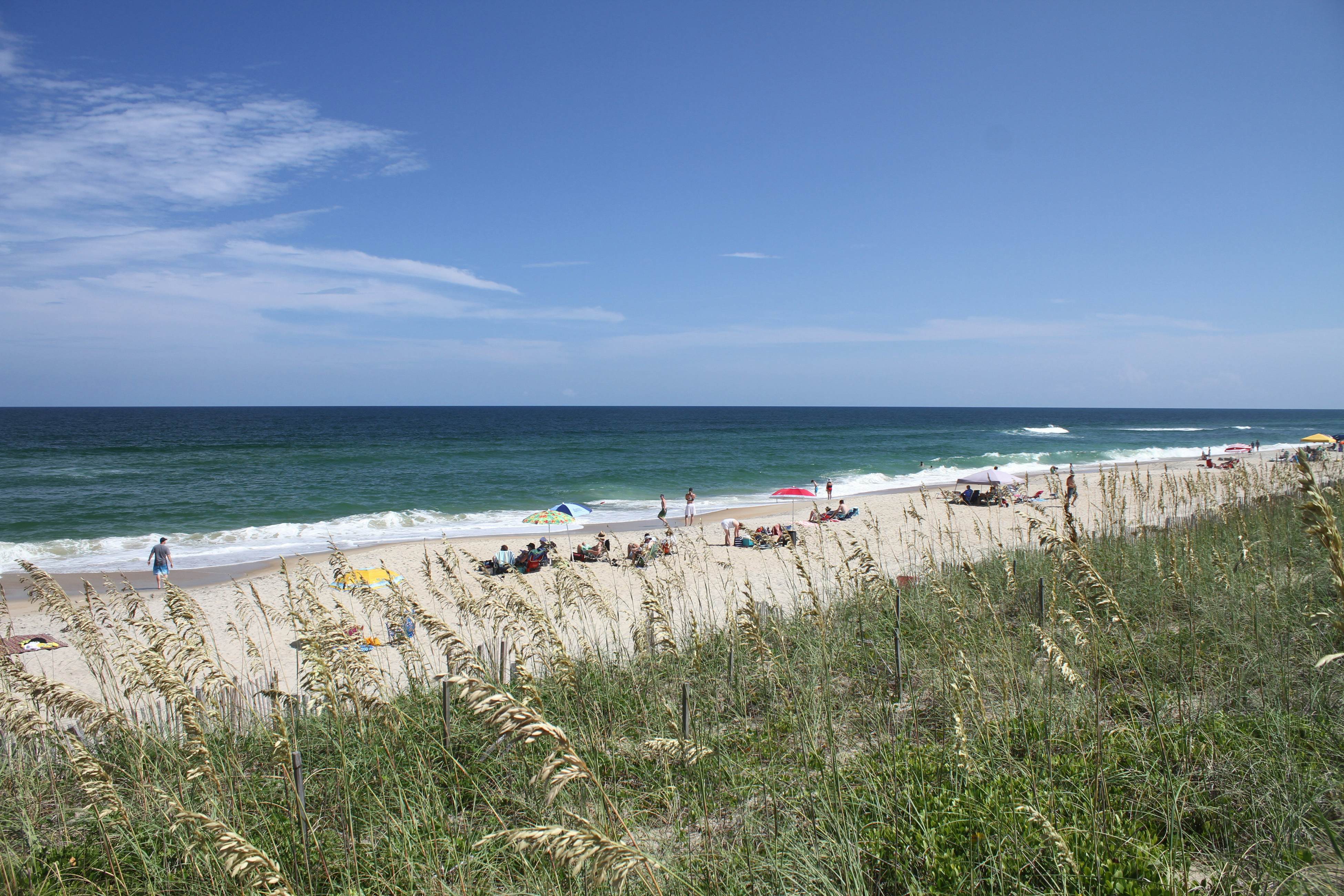 AVIK10 La Dolce Vita  #10-IC