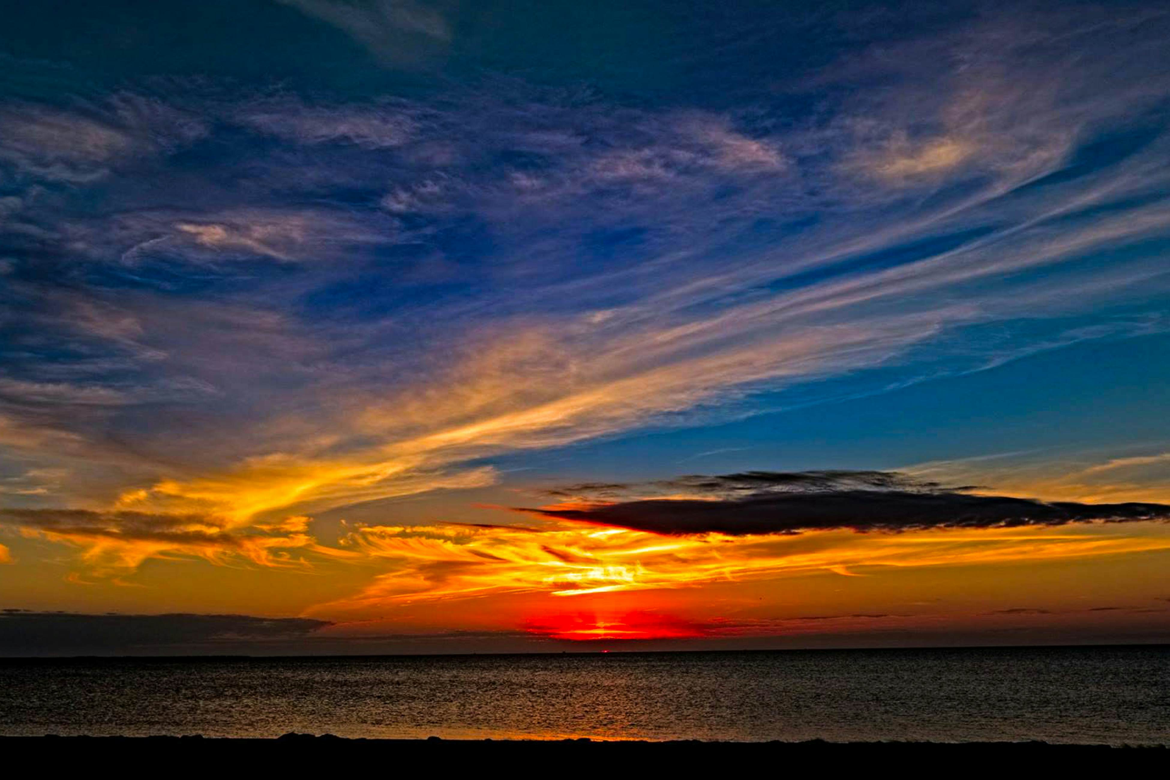 AVIK10 La Dolce Vita  #10-IC