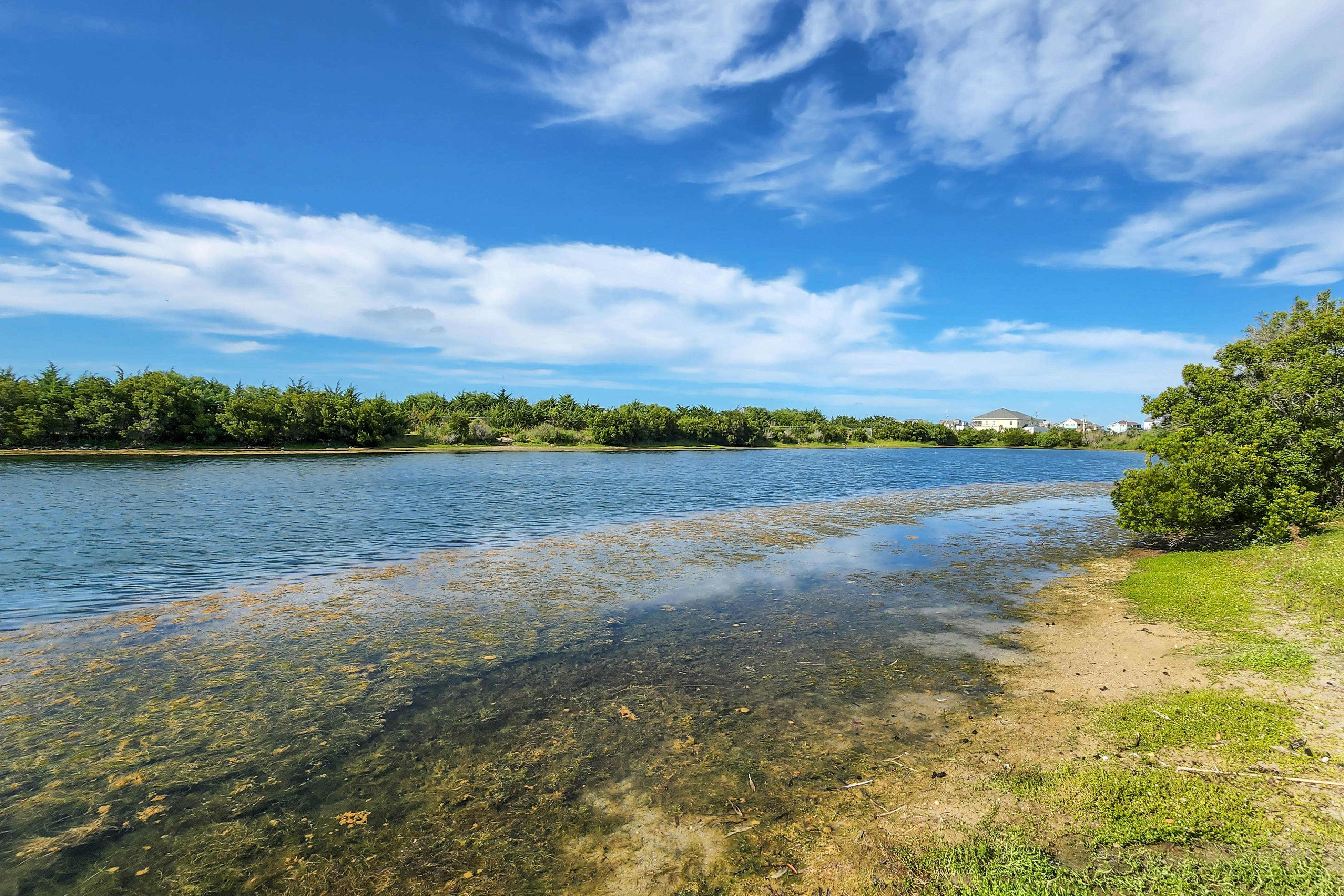 AVKS914 Pelican's Pad #14-9