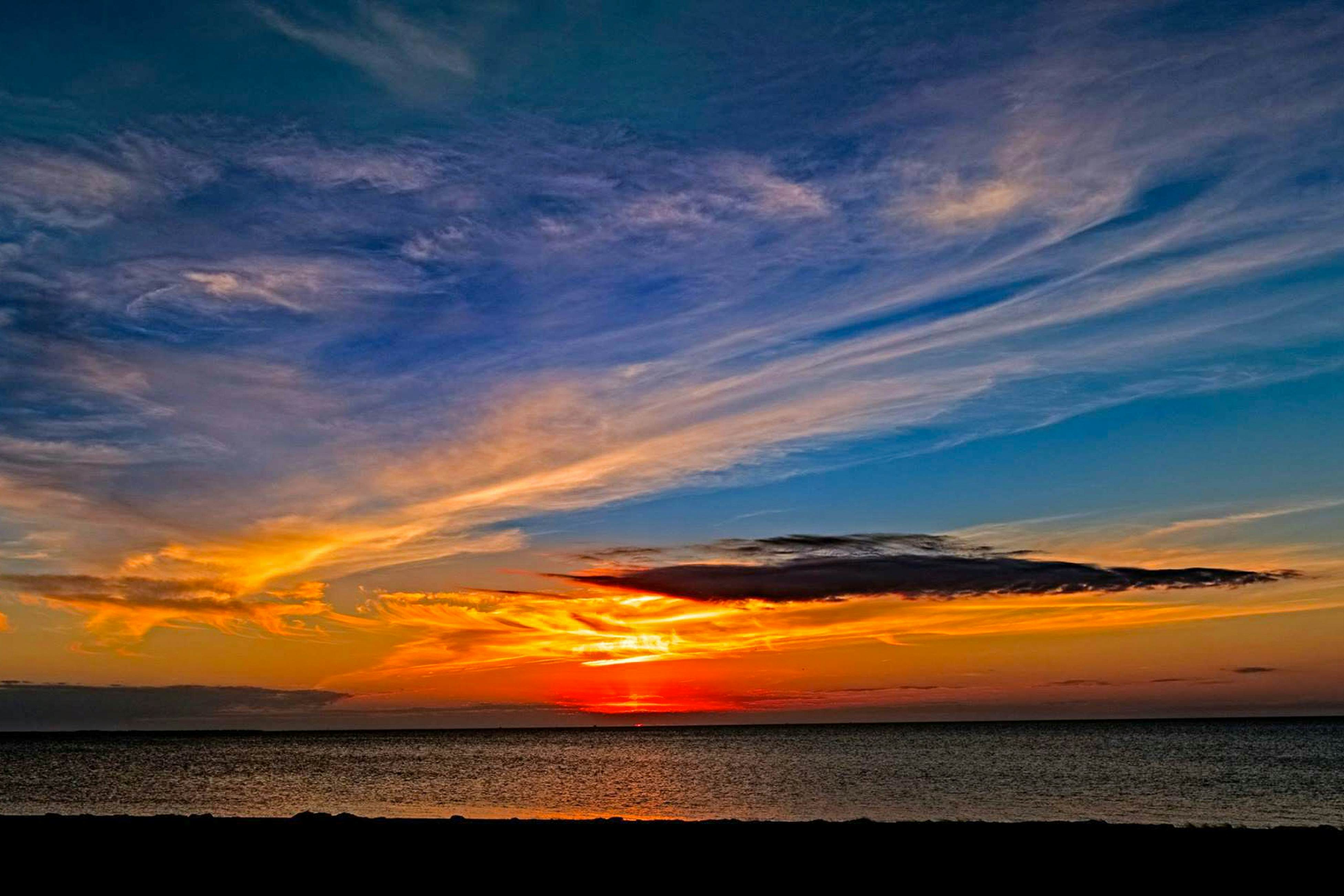 AVKS33 Amaizin Blue  #3-3