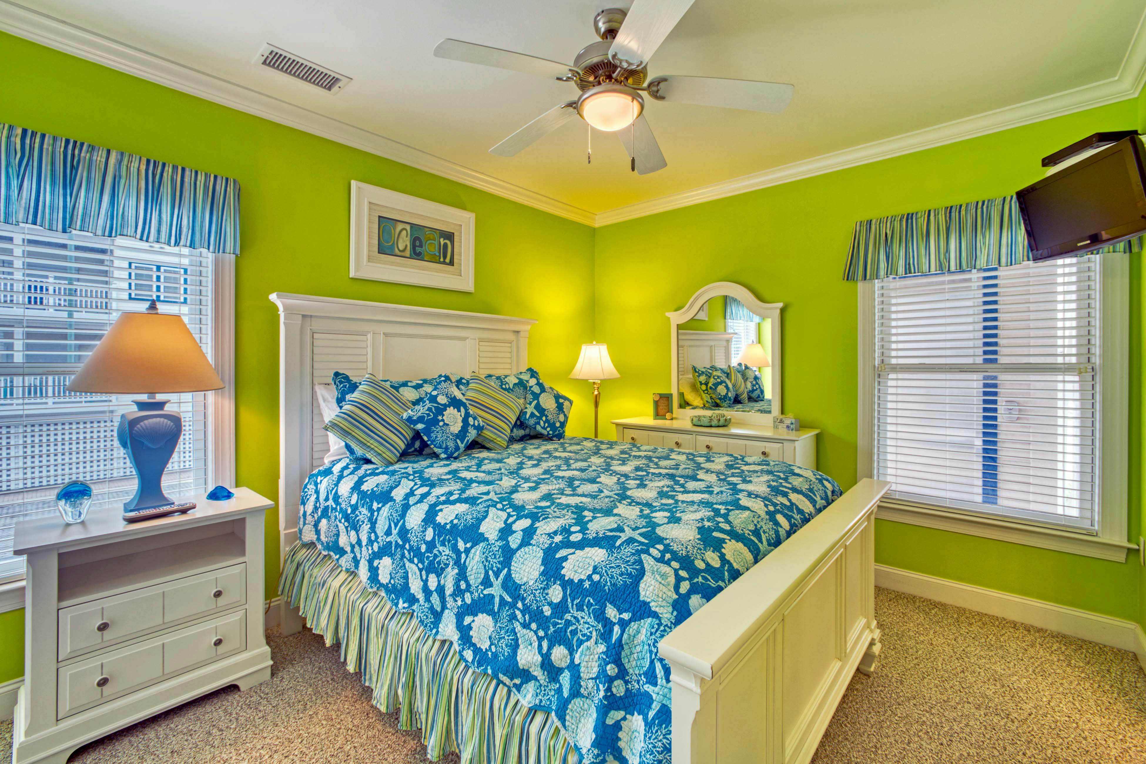 HASCD3 For The Shell of It  #D3SC-H