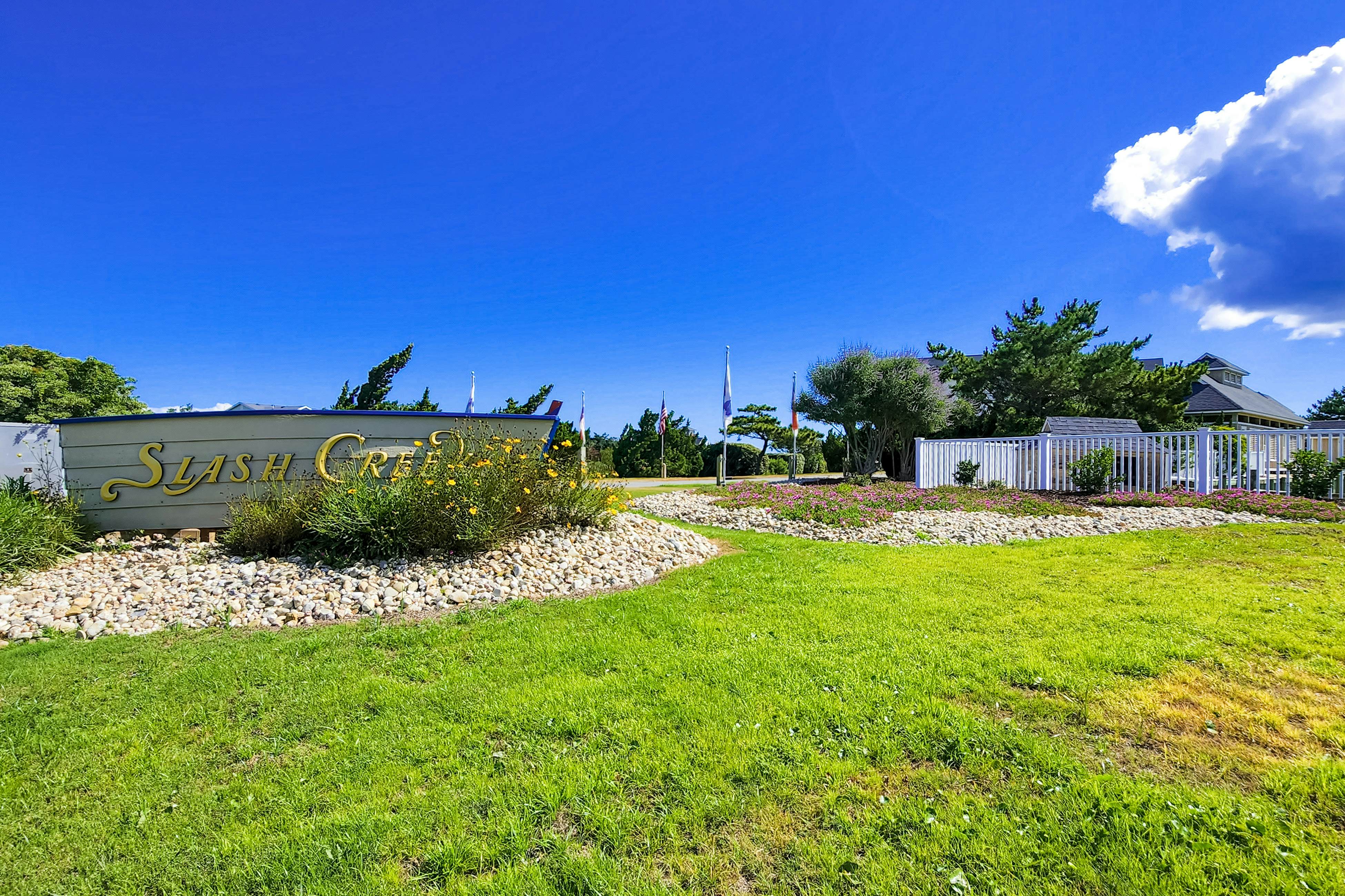 HASCD3 For The Shell of It  #D3SC-H