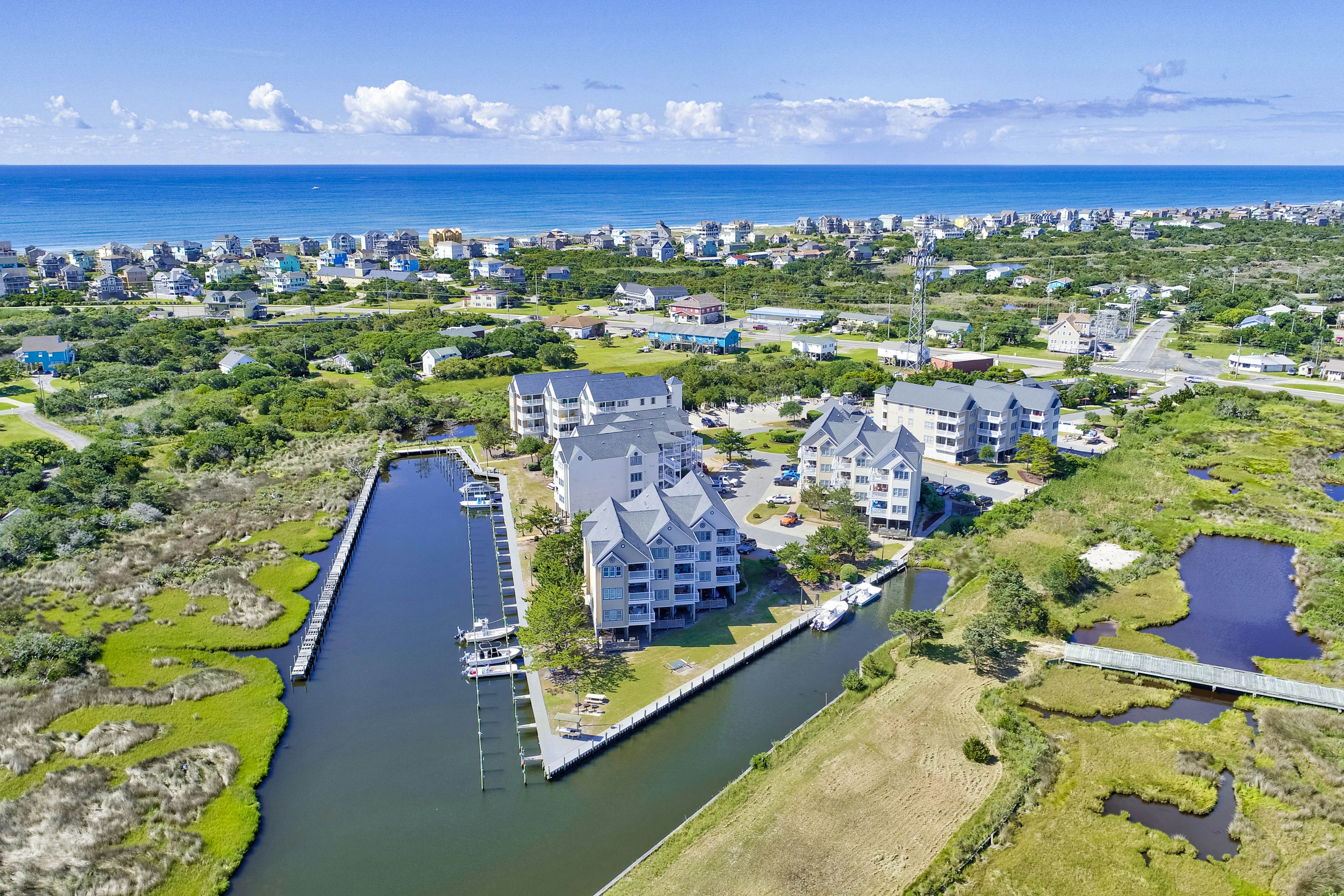 HASCD3 For The Shell of It  #D3SC-H