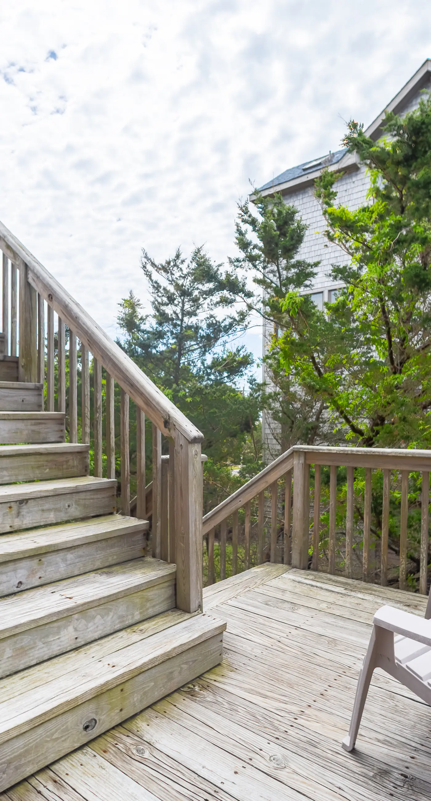 AV123 Grand Banks 123