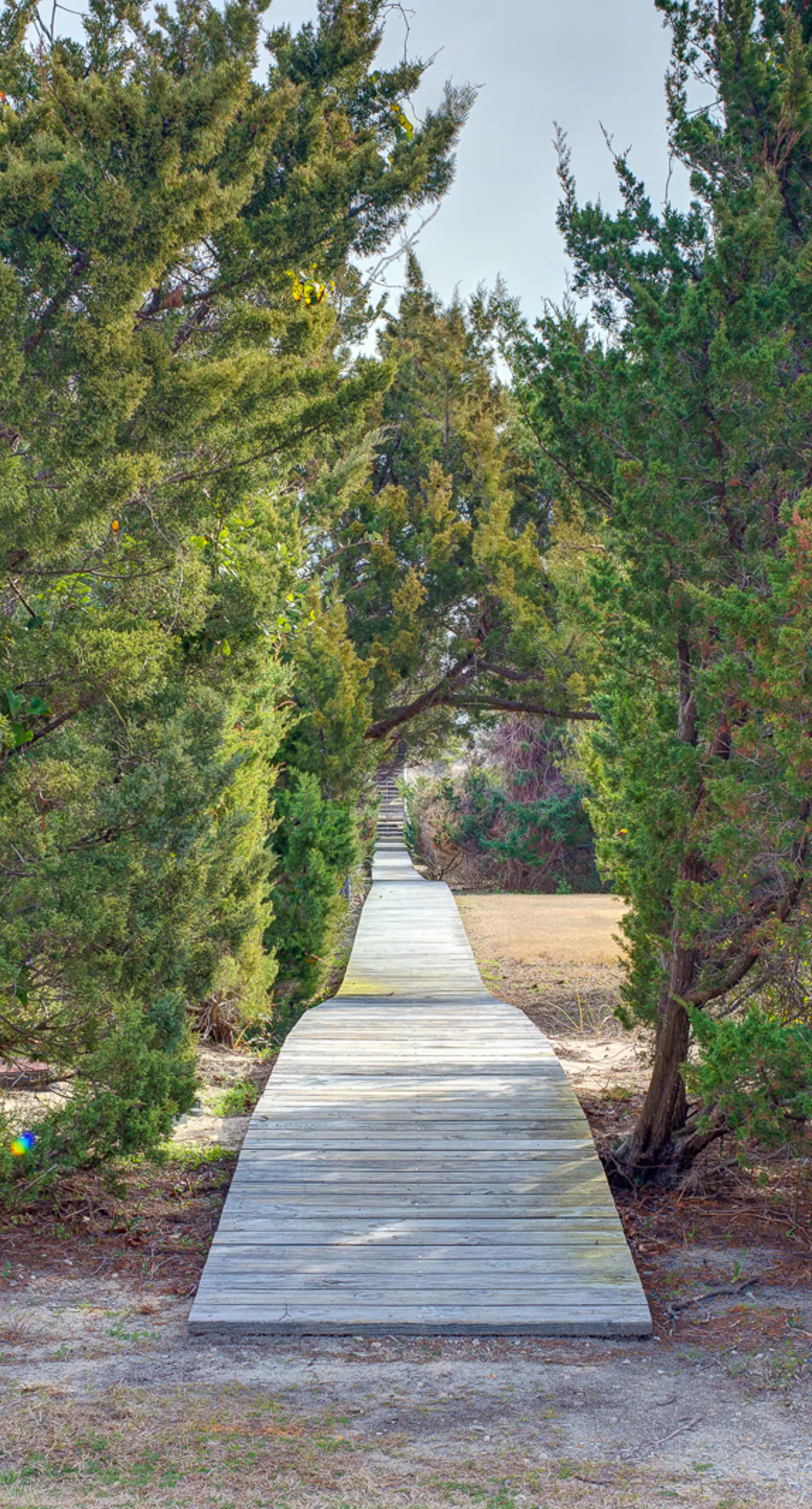 AV123 Grand Banks 123